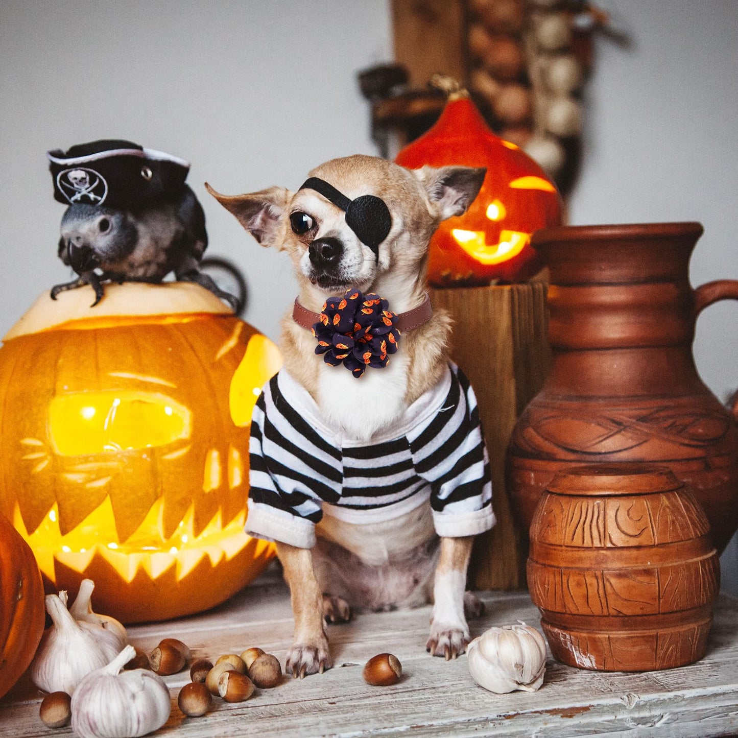 Silkfly 80 Pcs Halloween Dog Collar Flowers Bulk Holiday Pet Collar Bows Grooming Accessories for Small Medium Large Cat Puppy Dog(Pumpkin Style)