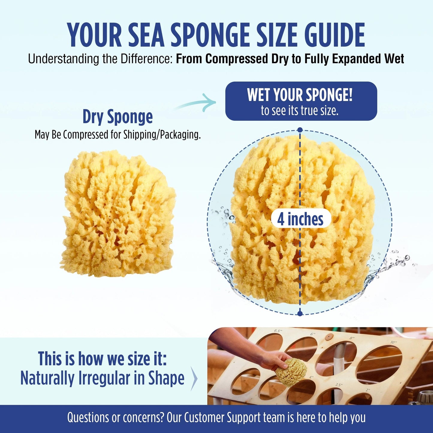 Baby Buddy’s Natural Baby Bath Sponge 2 Pack 4-5” Ultra Soft Premium Sea Wool Sponge Soft on Baby’s Tender Skin, Biodegradable, Hypoallergenic, Absorbent Natural Sea Sponge