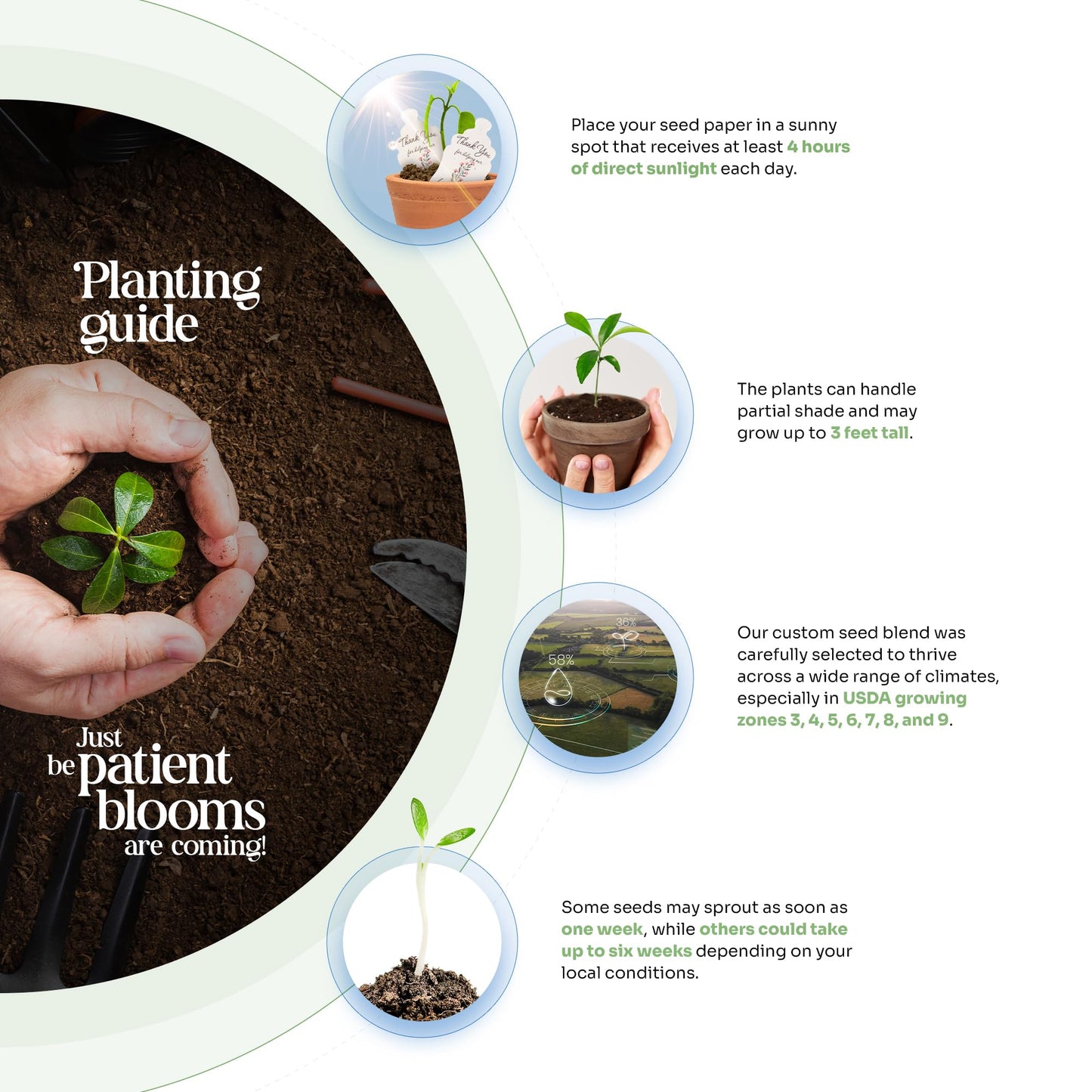 48 Pieces of Hearts and Butterfly Handmade Wildflower Seeds Embedded Recycled Seed Paper Hearts and Butterflies - Gift Tags Seeded Paper Gift Cards Stationery & Gift Wrapping Supplies