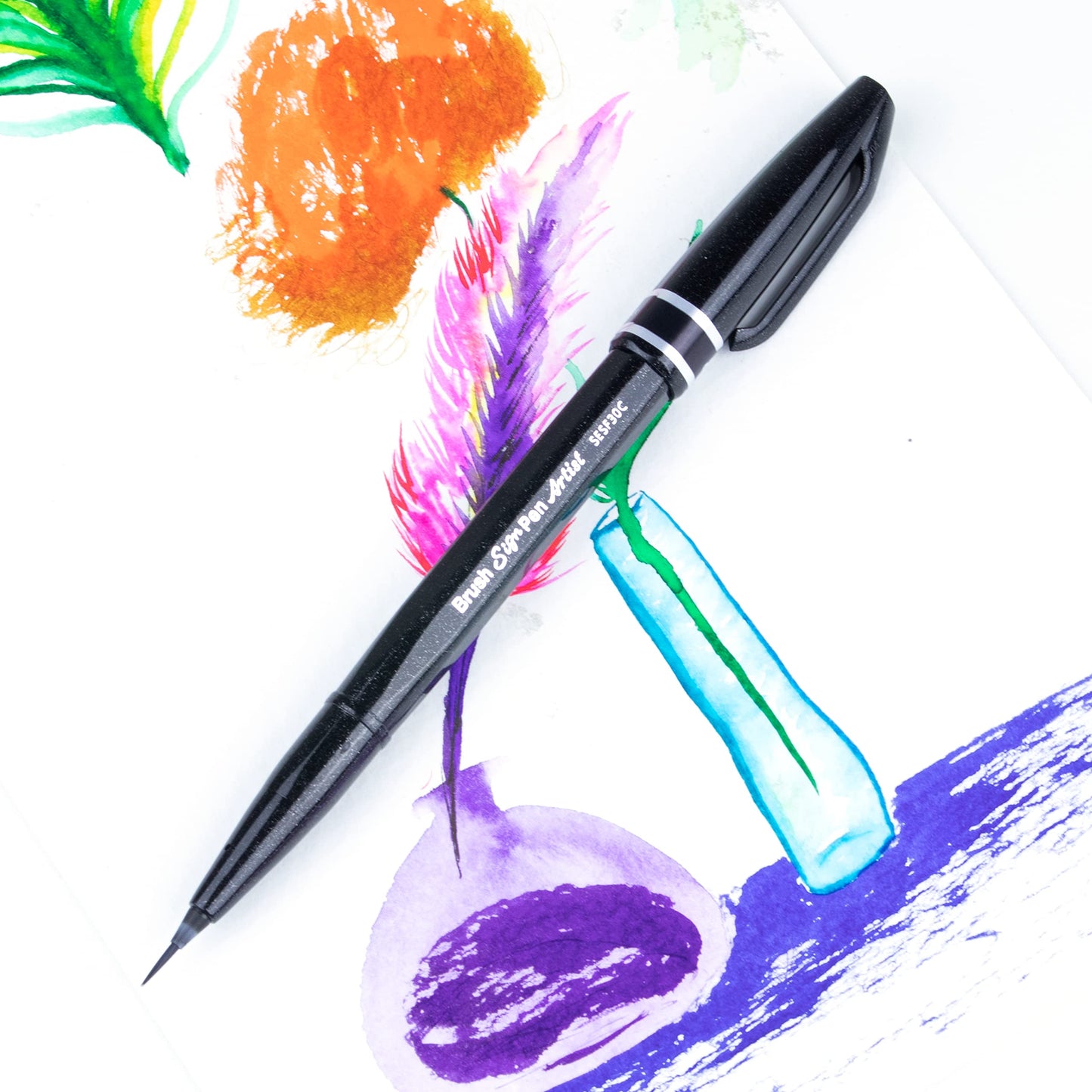 Pentel Arts Brush Sign Pen Artist, Ultra Fine Brush Tip, Ideal for Calligraphy, Illustration, Black Ink, SESF30C-A, Box of 12