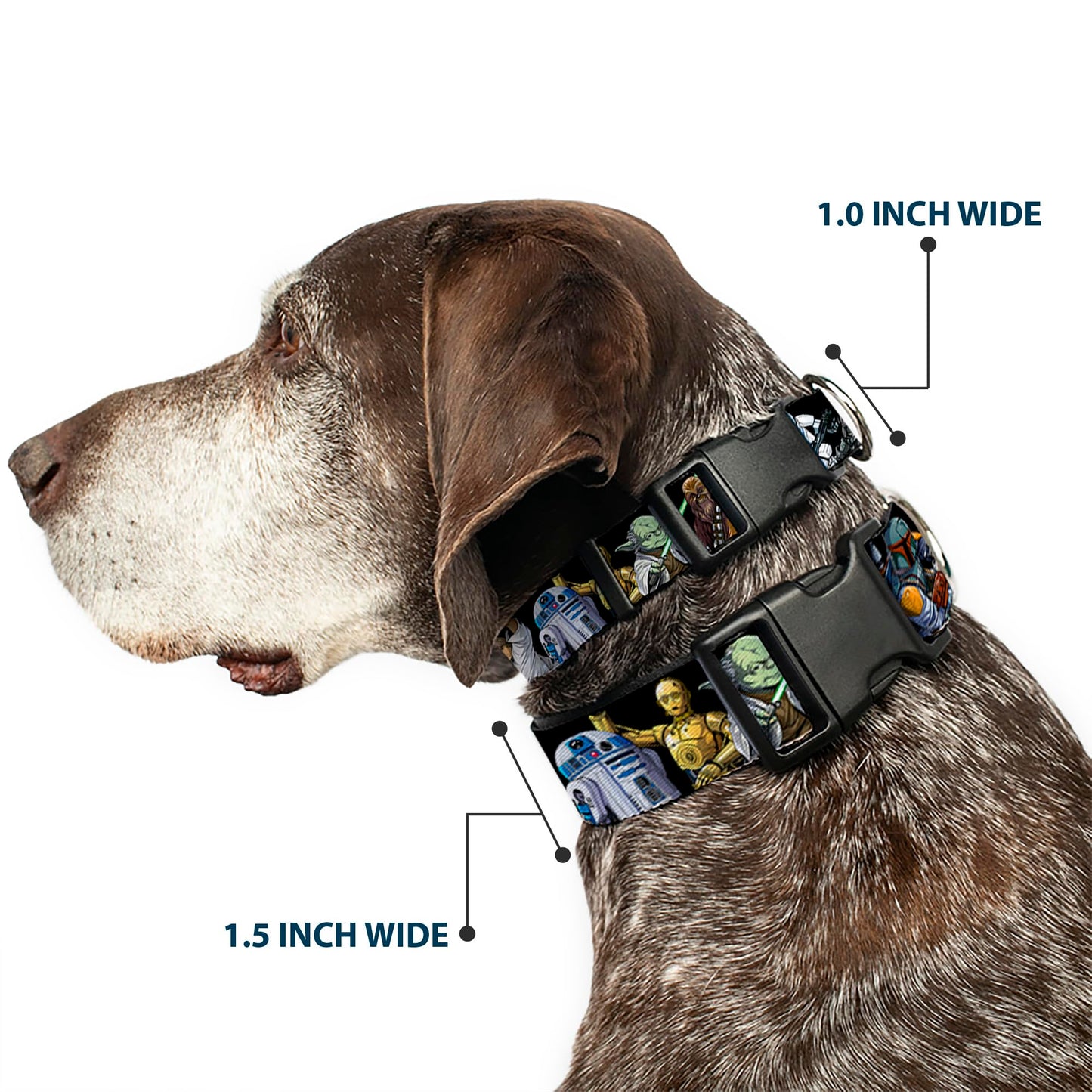 Star Wars Pet Collar, Dog Collar Plastic Buckle, Star Wars Classic Character Poses Black, 8.5 to 12 Inches 0.5 Inch Wide