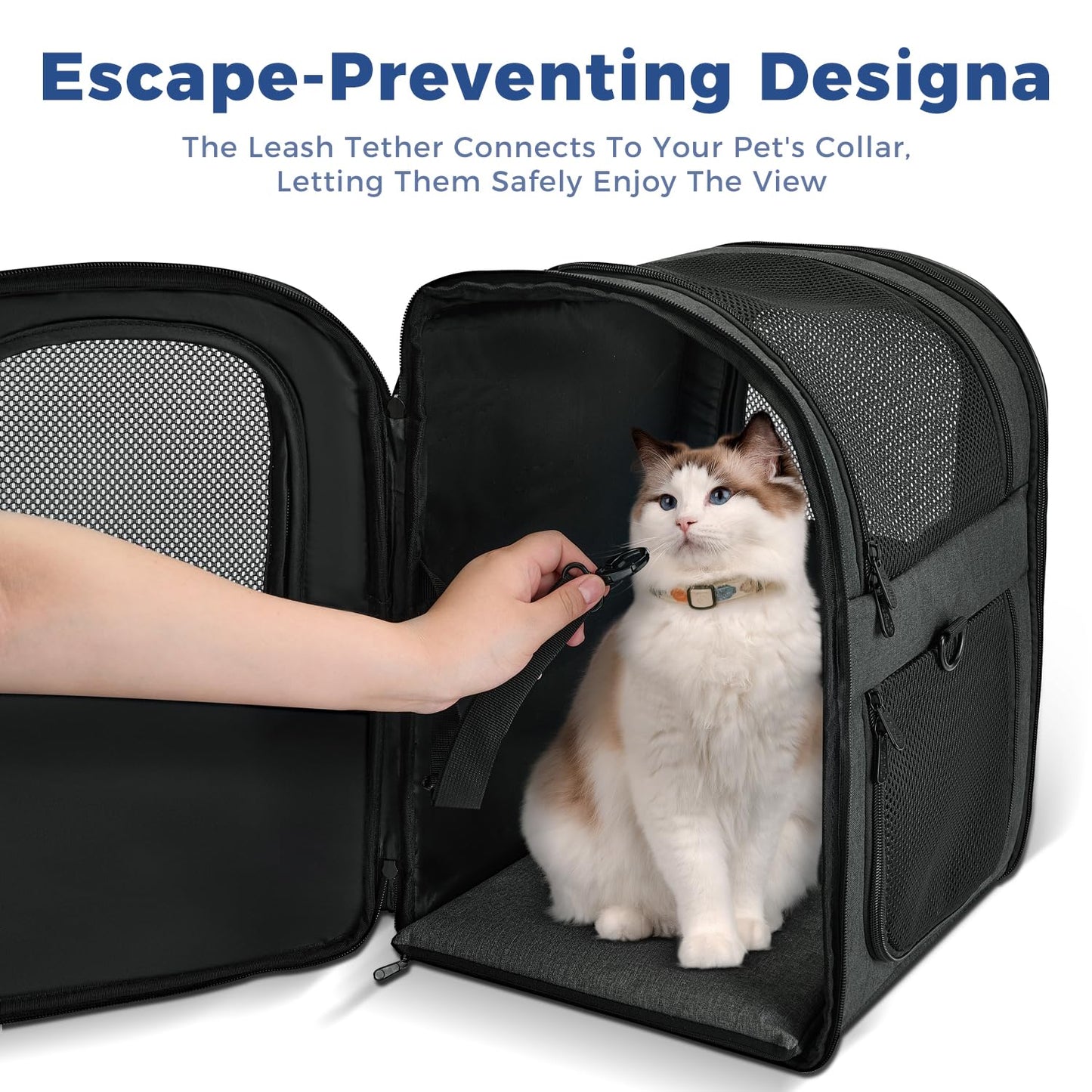 Apollo Walker Pet Carrier Backpack for 4-15lb Cats and Dogs, Puppies, Safety Features and Cushion Back Support for Travel, Hiking, Outdoor Use