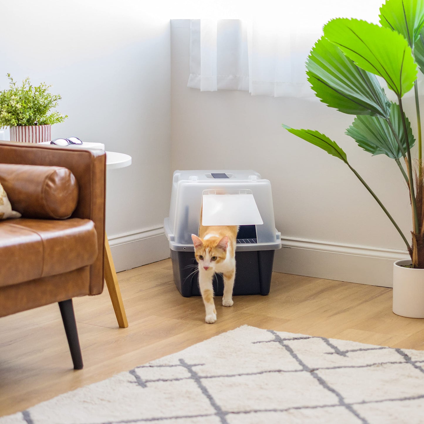 IRIS USA Covered Cat Litter Box with Scoop, Front Door Flap, Enclosed Kitty Litter Box for Privacy, Portable & Easy to Clean, Navy