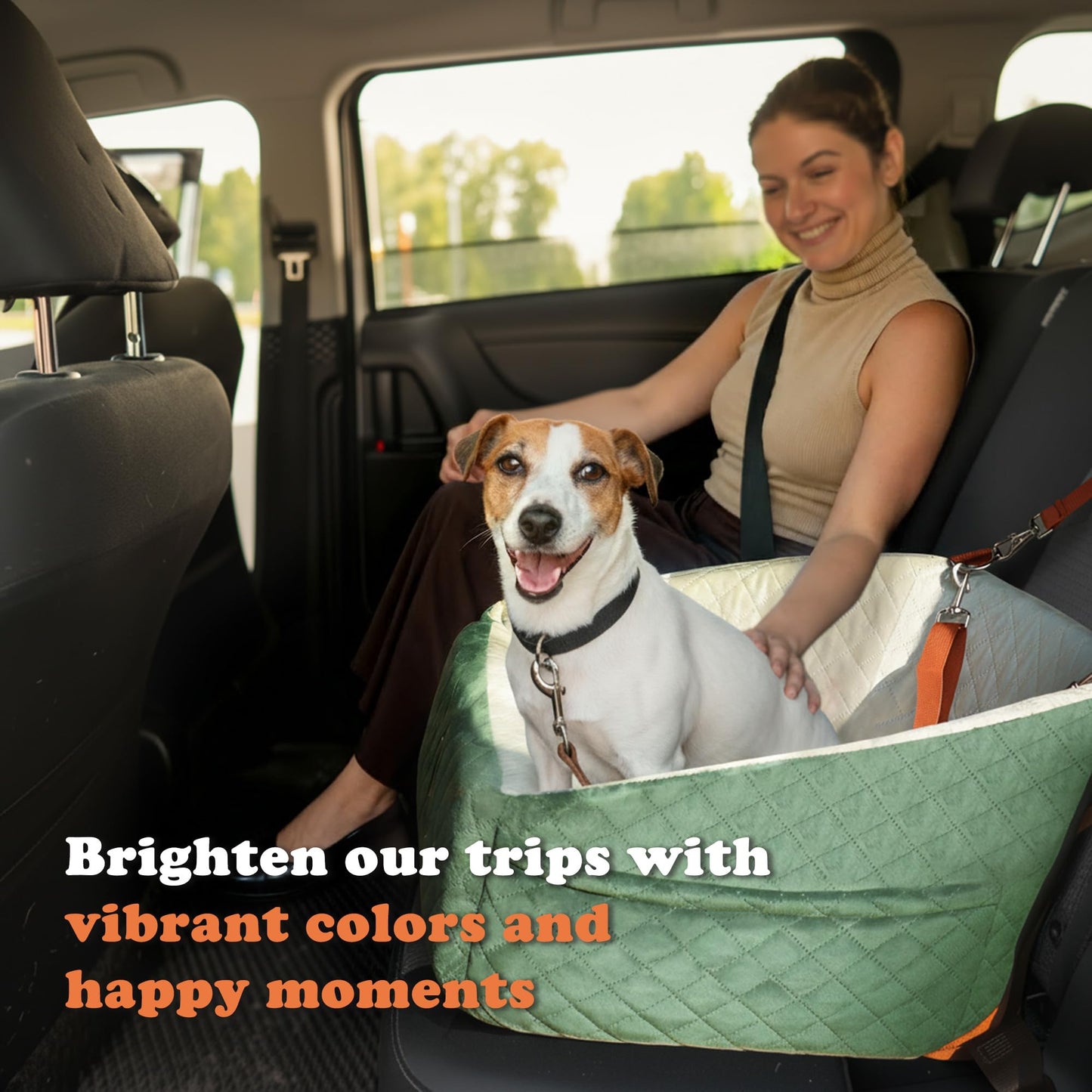iPetba Dog Car Seat for Small & Medium Dogs - Crash-Protective, Non-Slip, Protects Car Interior, Detachable & Washable