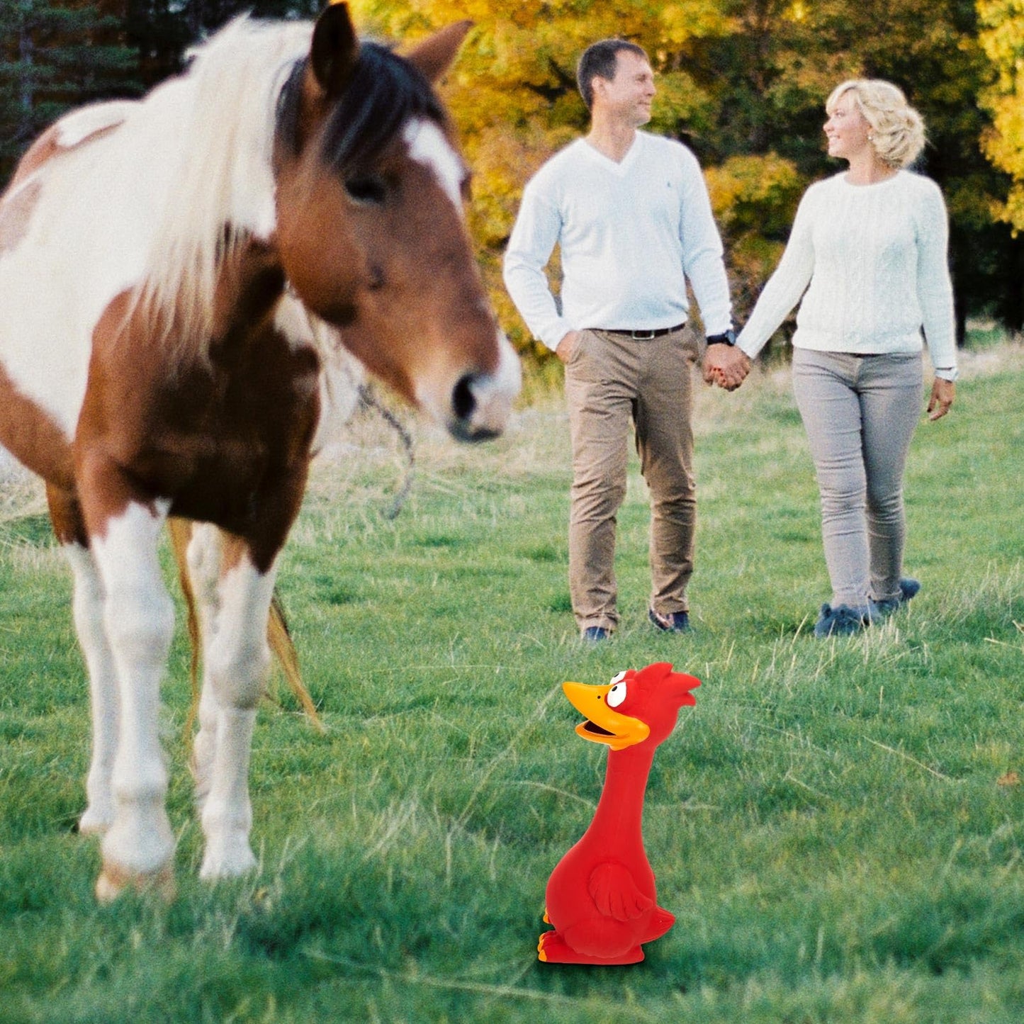 Hungdao 3 Pcs Horse Toys Latex Squeaky Chicken Toy Squeak Turkey for Play Fake Screaming Chicken Dog for Horses Reduce Separation Anxiety Noise Maker Squeaker Funny Prank