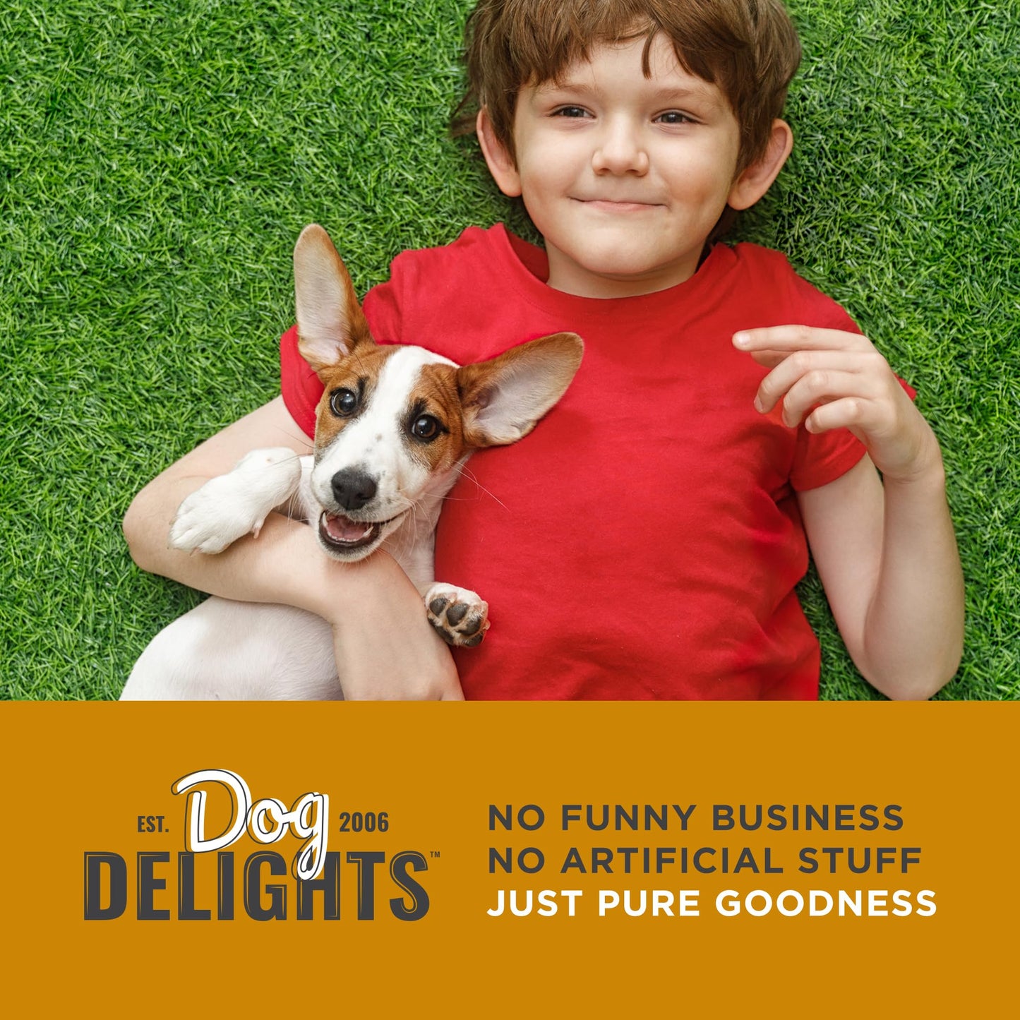 Chewy Lamb Stick Dog Treats Bundle. Includes (1) Package of Dog Delights Chewy Lamb Sticks Dog Treats (1.25kg) with BIG MAPLE Trivia Cards. All Life Stages. No Additives, Preservatives or Colours