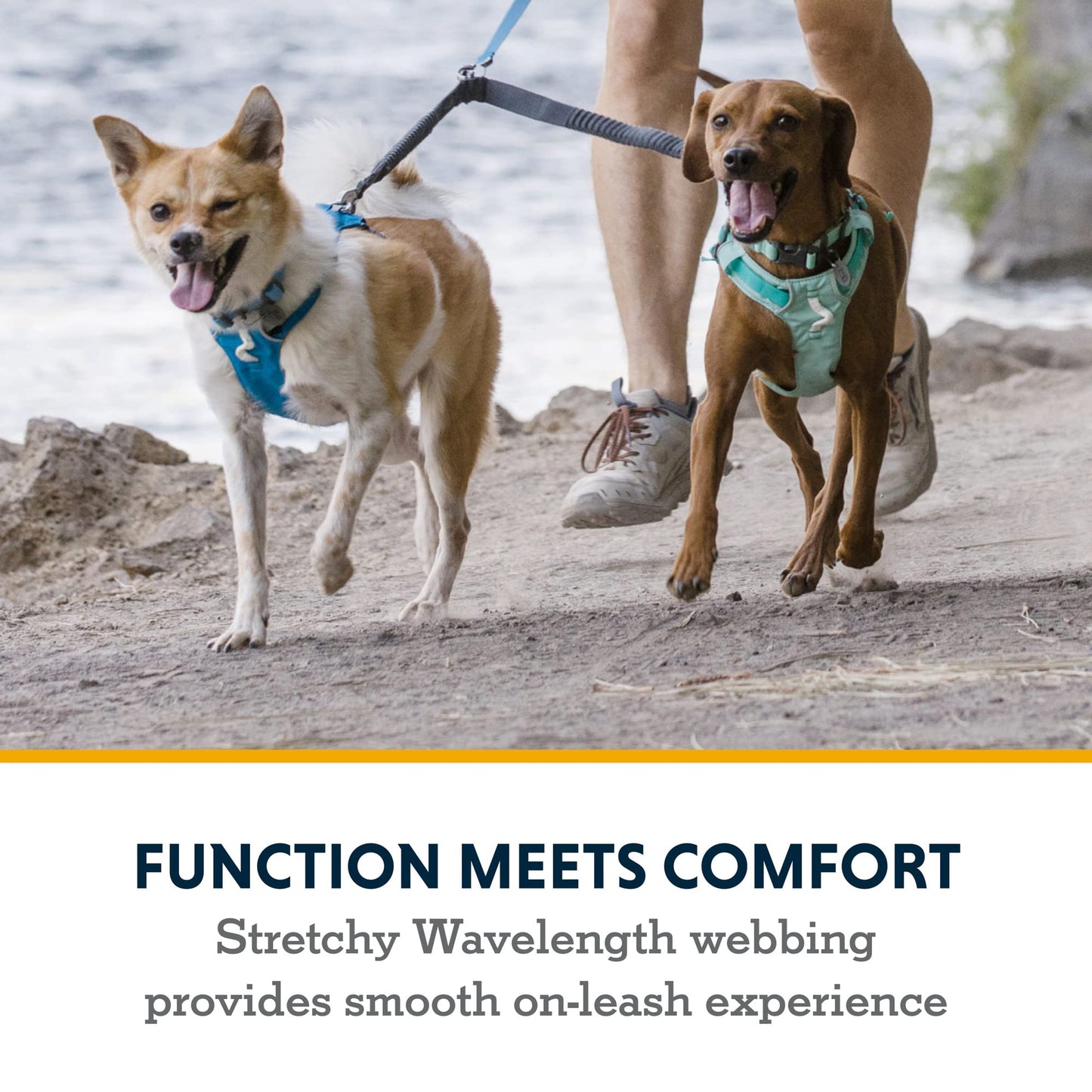Ruffwear, Double Track Dog Leash Coupler, 2-Dog Walking System