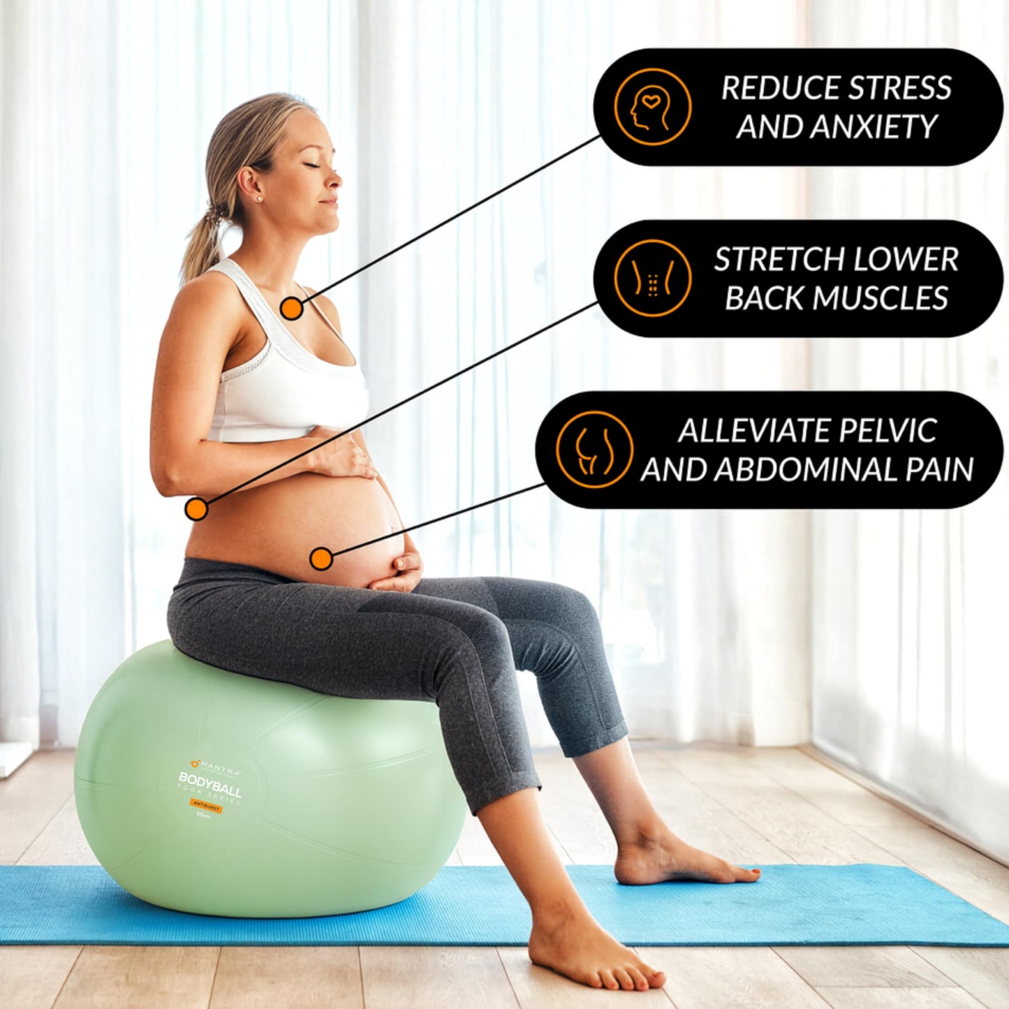 Exercise Ball - Yoga Ball Chair for Pilates, Home Fitness & Gym Workout. Extra Thick Pregnancy Ballon for Labor, Balance, Stability & Birthing - Swiss Ballon Exercice for Adults with Pump & Wall Chart