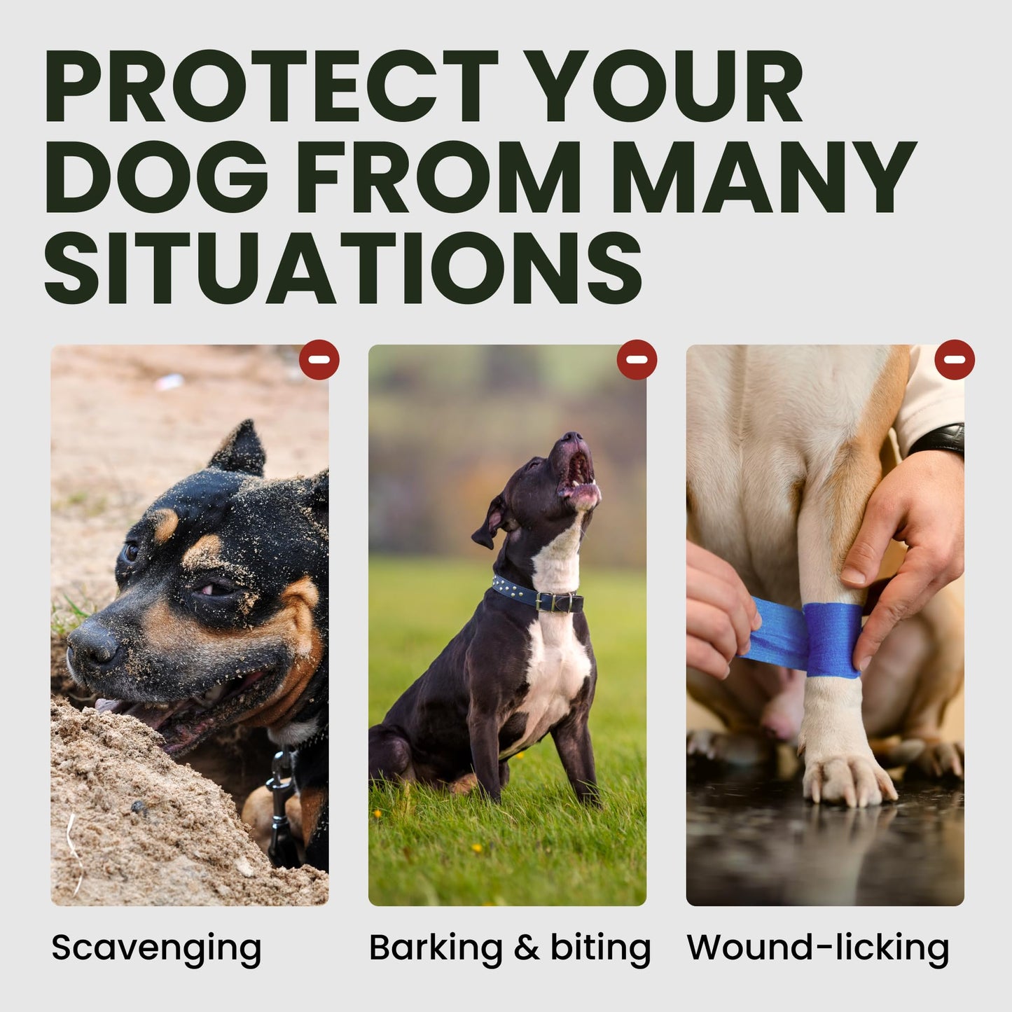 BRONZEDOG Pitbull Dog Muzzle Metal Mask Amstaff Wire Basket Pit Bull Adjustable Leather Straps for Large Dogs (Black)