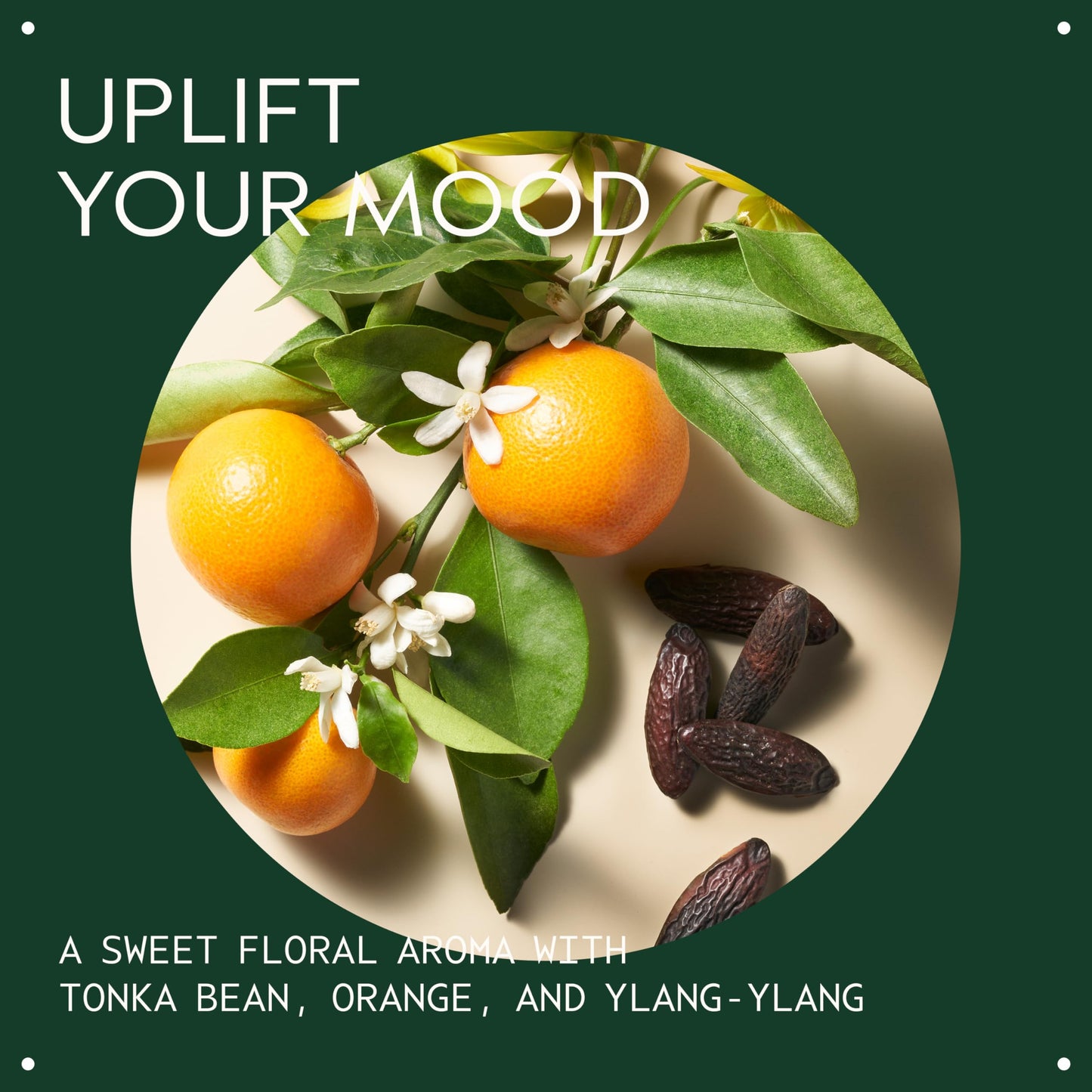 Aveda Cherry Almond Softening Shampoo | Gentle Daily Shampoo | for Normal to Dry Hair | 97% Naturally Derived* | Silicone Free | Iconic Cherry Almond Aroma of Tonka, Orange, Ylang Ylang, 1000ml