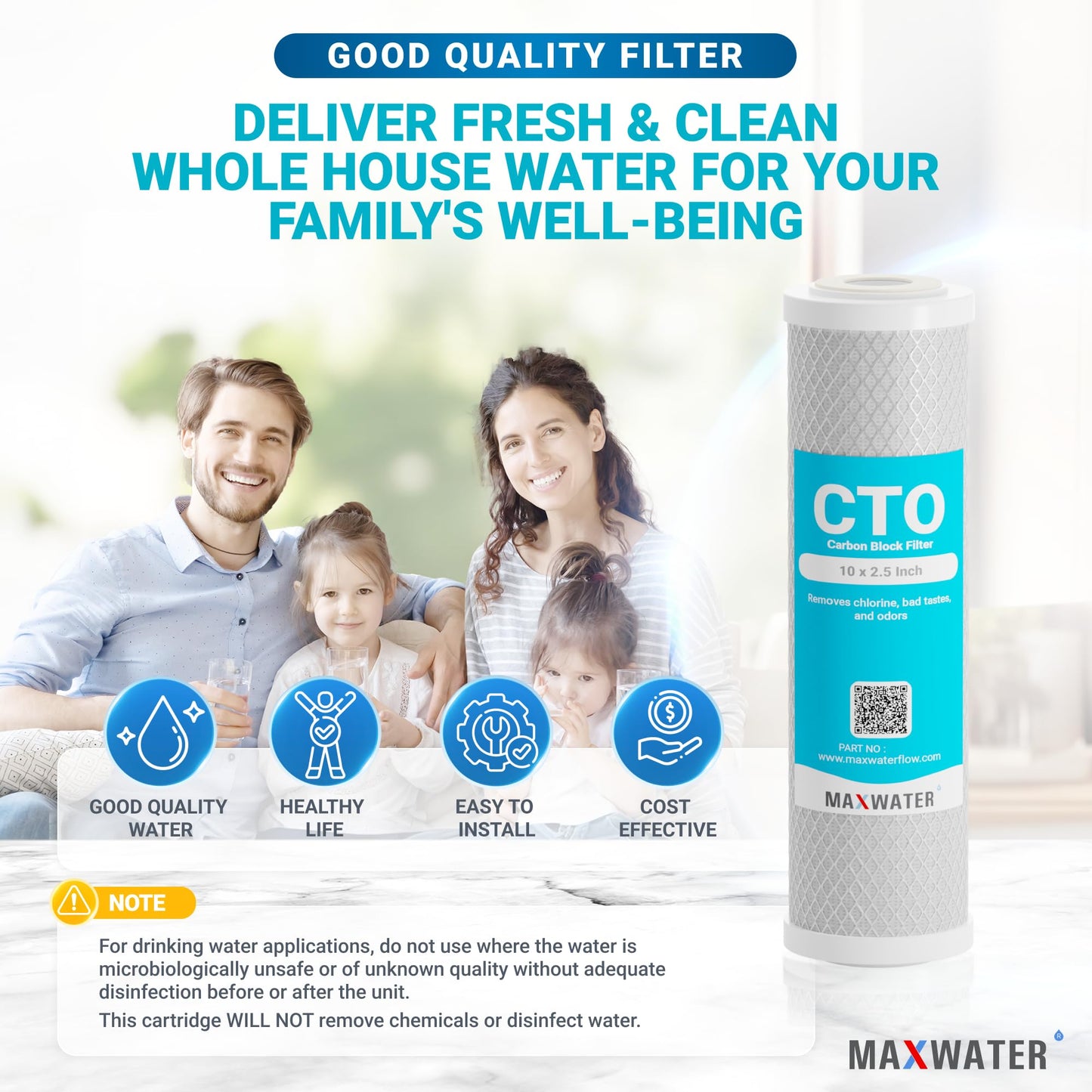 Max Water 5 Micron, 10 x 2.5 Whole House CTO Activated Carbon Filter Replacement Cartridge, Coconut Shell Carbon Block for Whole House System and Standard RO Compatible with WFPFC8002, FXWTC (10 Pack)