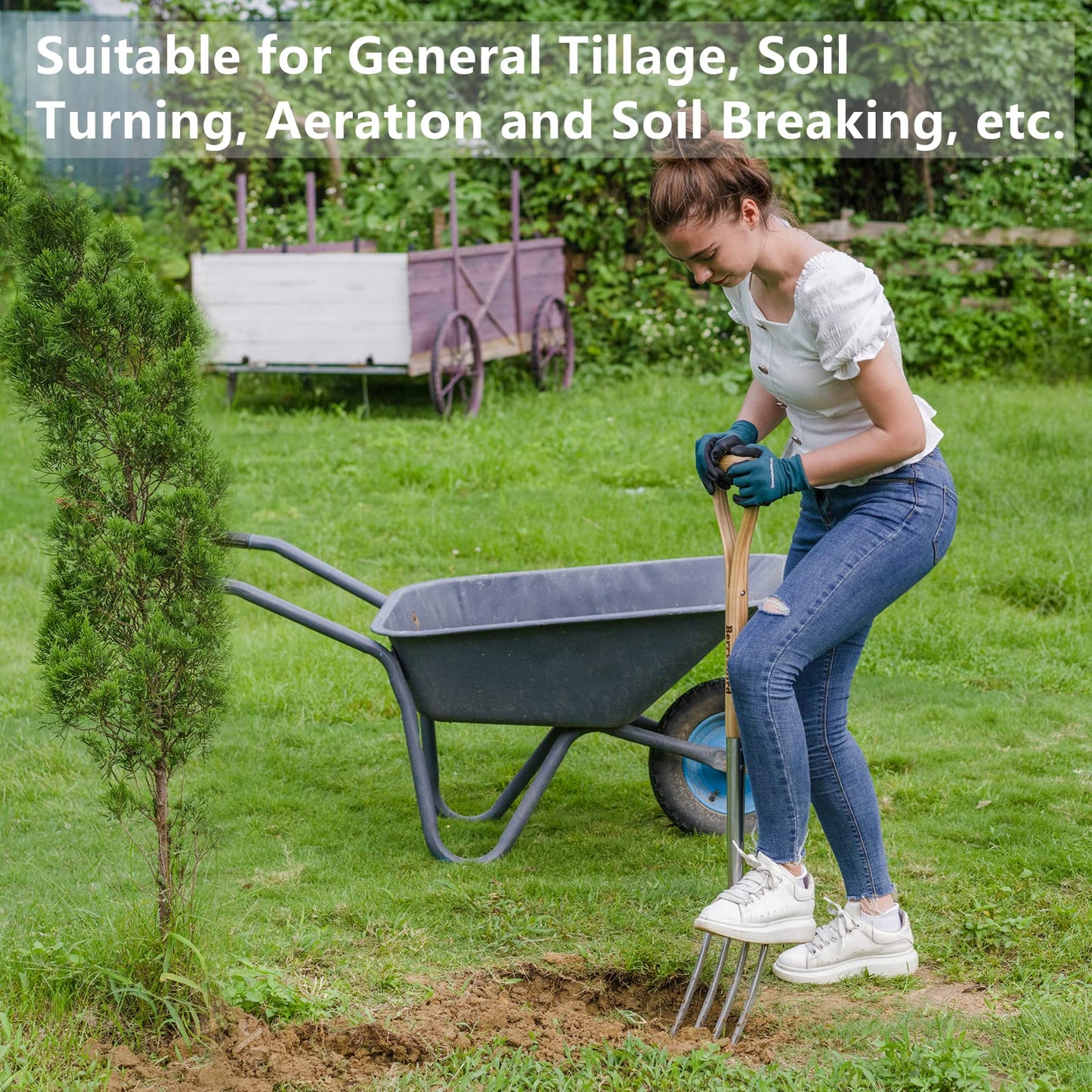 Berry&Bird Garden Digging Fork, 37.4" Stainless Steel Garden Spading Fork with D-Grip Handle, 4-Tine Heavy Duty Long Handled Pitchfork with Ash Wood Handle for Digging, Planting, Aerating, Cultivating