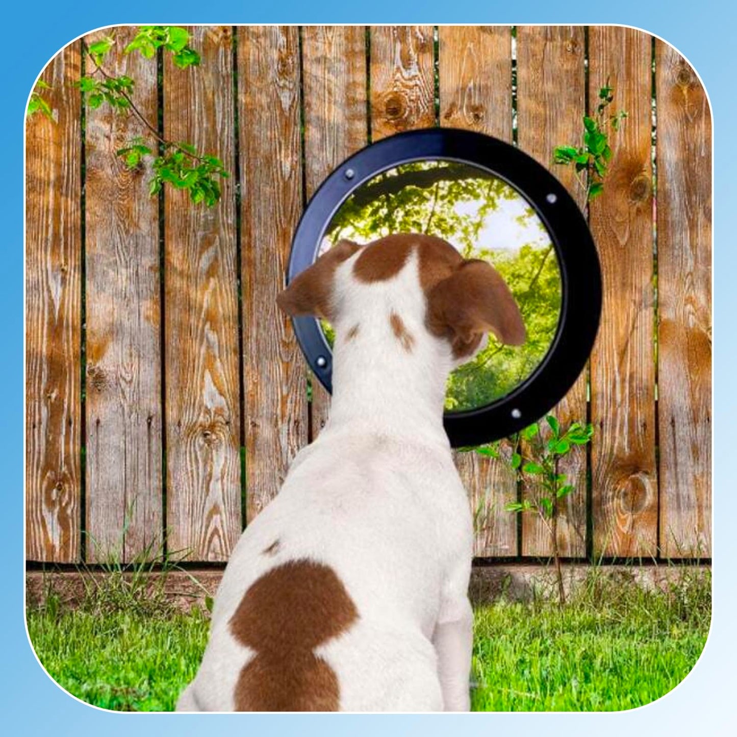 CAWUWE 2 Pack Dog Fence Window with Air Holes Clear Pet Bubble View Dome Door Peek Small Round Window for Doggie/Cat/Horse Outside Playground Garden Diameter 12.44 Inch Deep 4.92 Inch