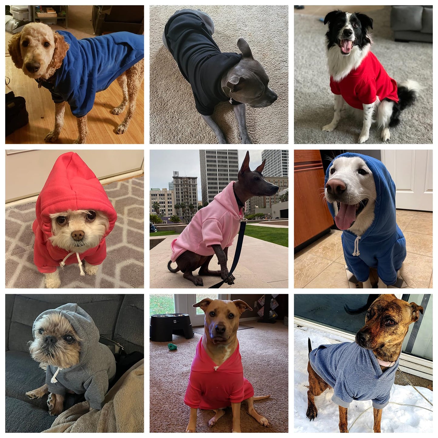 KOOLTAIL Basic Dog Hoodie - Soft & Warm Dog Hoodie Sweater with Leash Hole and Pocket, Dog Winter Coat, Cold Weather Clothes Sweatshirt for Small Medium Large Dogs Puppy Cat Boys Girls Green XL