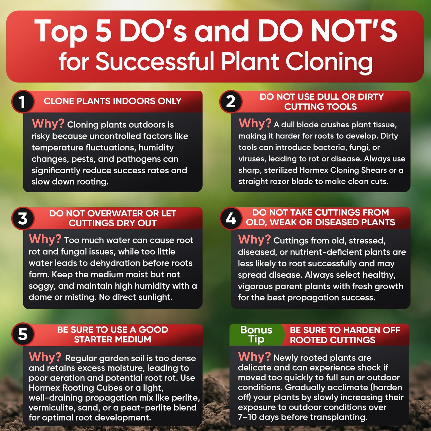 Hormex Rooting Hormone Powder #8 | for Moderately Difficult to Root Plants | Fastest IBA Rooting Powder Compound for Strong & Healthy Roots