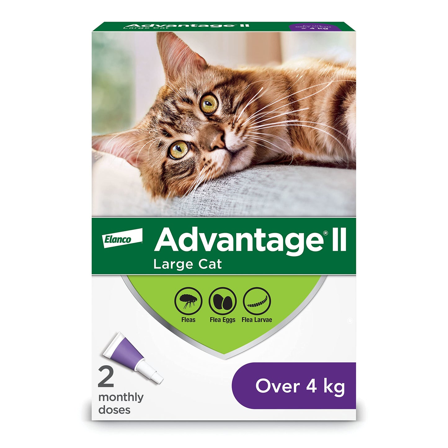 Advantage II Flea Protection for Large Cats weighing over 4 kg (over 9 lbs.) - 2 doses