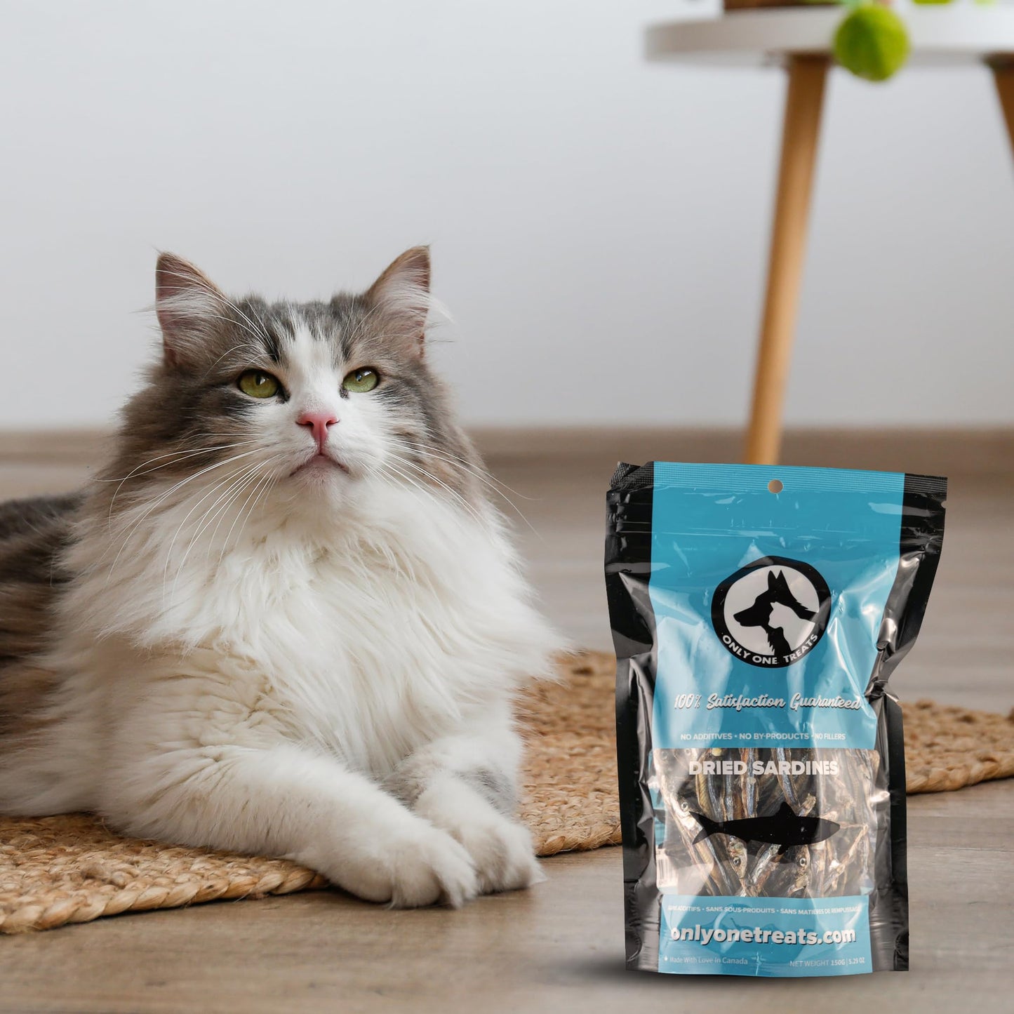 Only One Treats Dried Sardines for Dogs and Cats – All-Natural Training Treats with Omega 3 and Calcium – Sun-Dried Pet Treats for Dogs and Cats Brain, Heart, Skin and Coat Health (150g, Pack of 3)