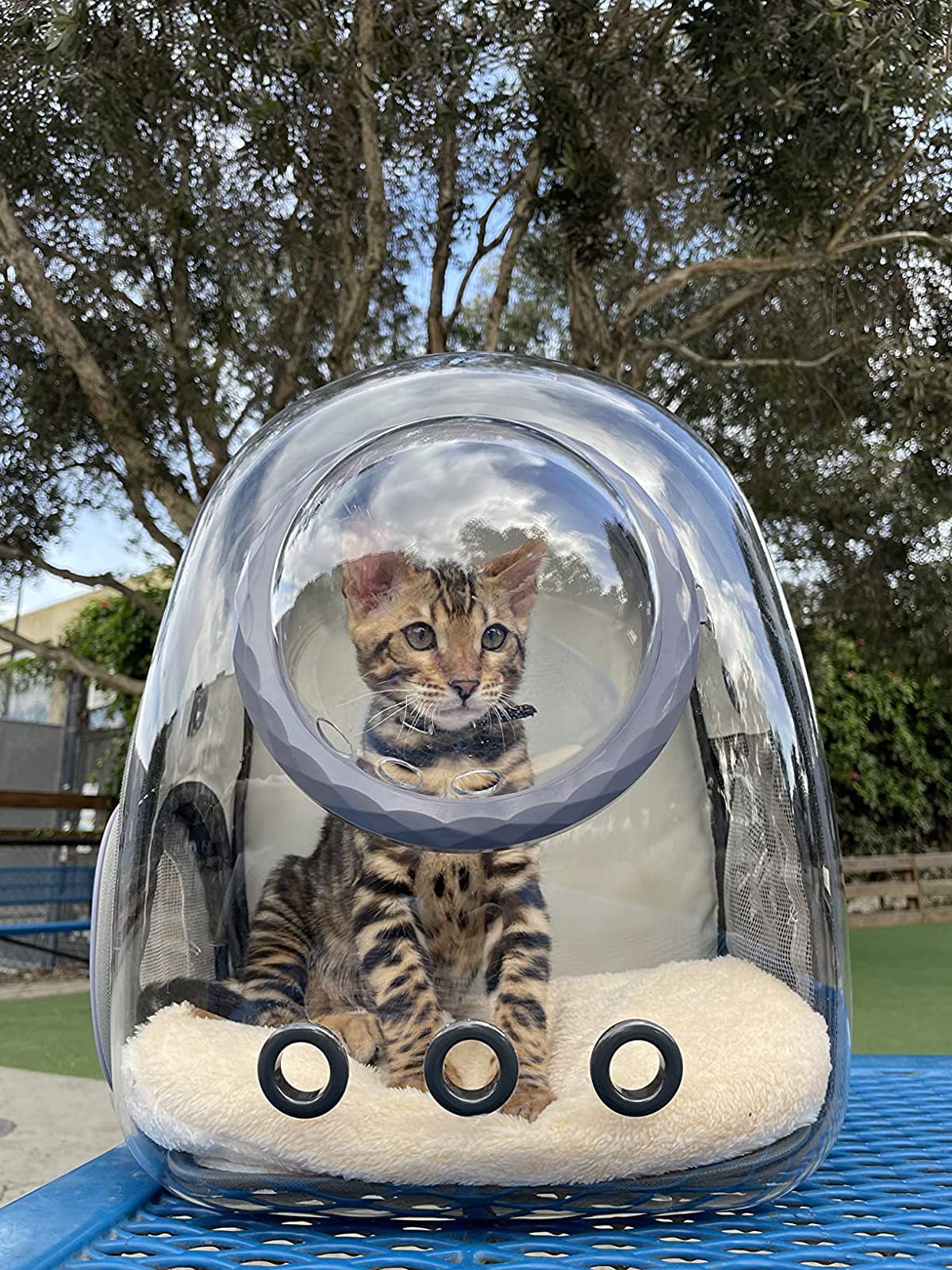 Space Capsule Astronaut Pet Backpack Carrier for Cat and Small Dog, Clear Bubble Dome Window with Soft Pillow, Airline Approved (Pink)