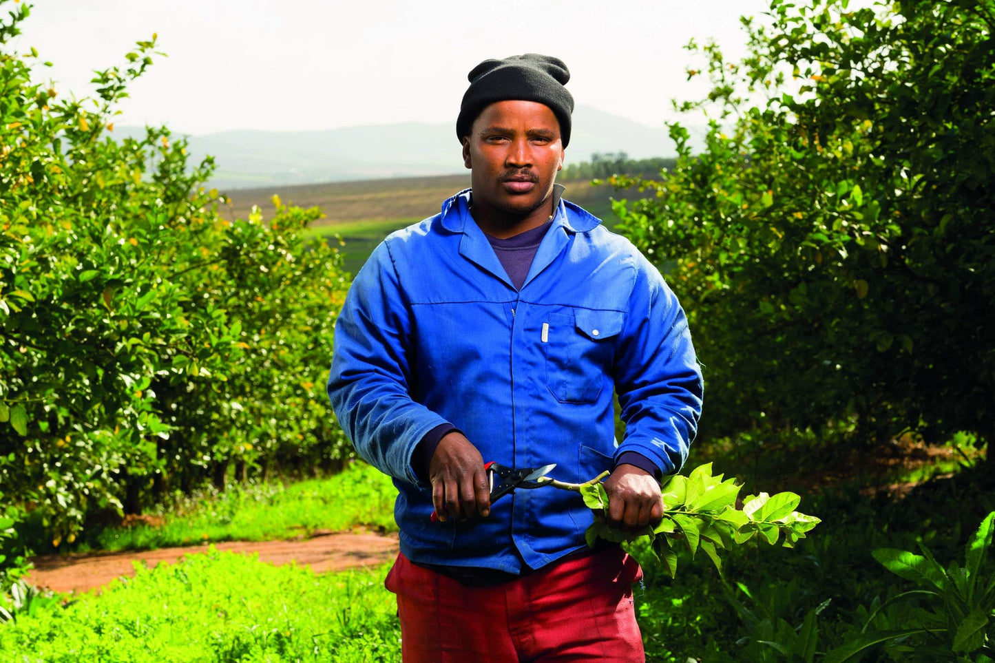 Pygar Inc Felco F-5 Classic Manual Pruning Shears