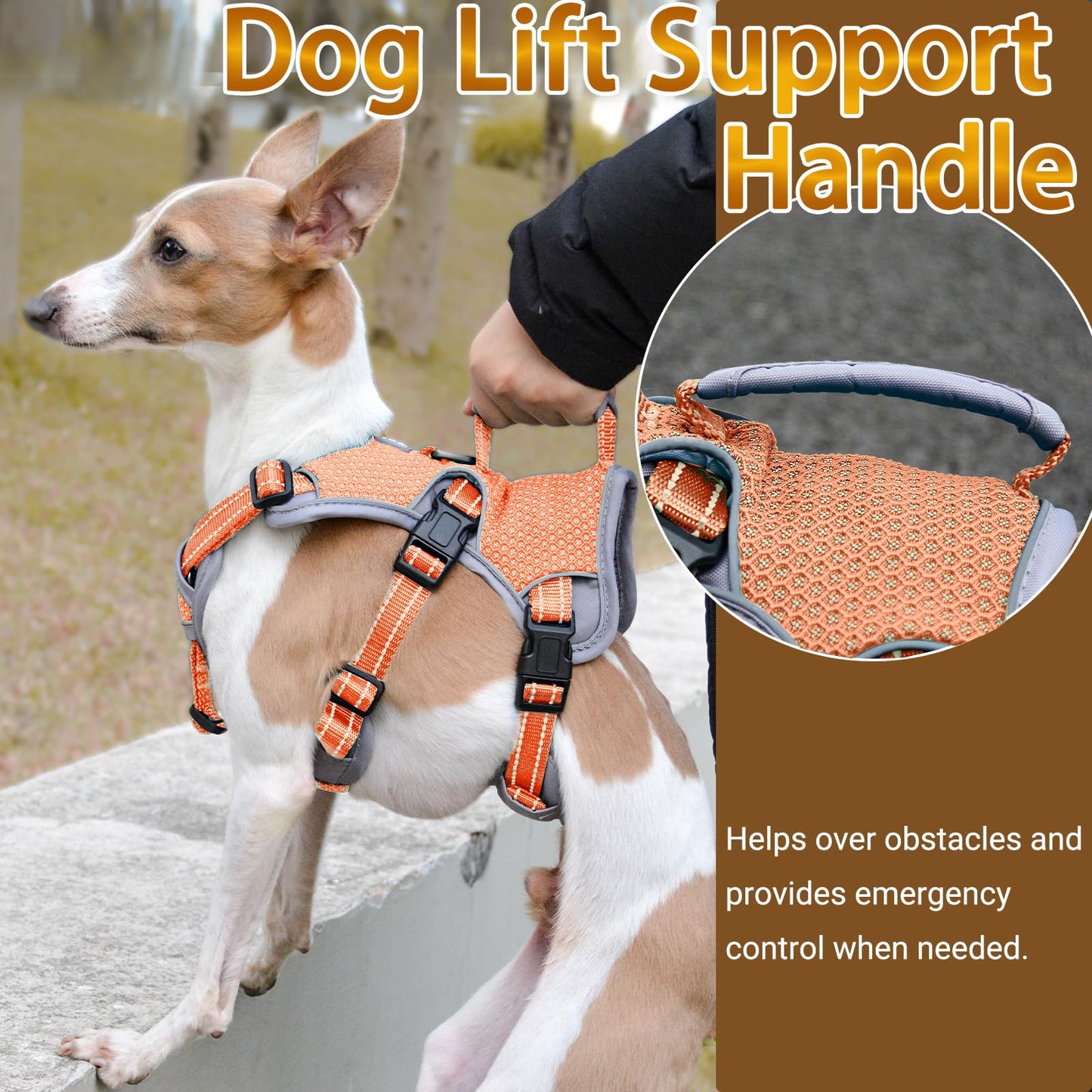 BELPRO Escape Proof Dog Harness, Multi-Use Support Dog Vest, No Pull Reflective Adjustable Pet Vest with Padded Handle, Dog Walking Harness for Big/Active Dogs (Orange,M)
