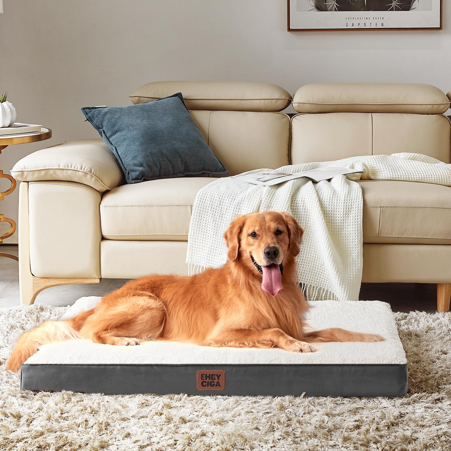 EHEYCIGA Dog Bed Large XL, Orthopedic XL Dog Beds for Extra Large Dogs, Washable Dog Mattress with Removable Cover and Non-slip Bottom, Pet Bed with Foam, Beige