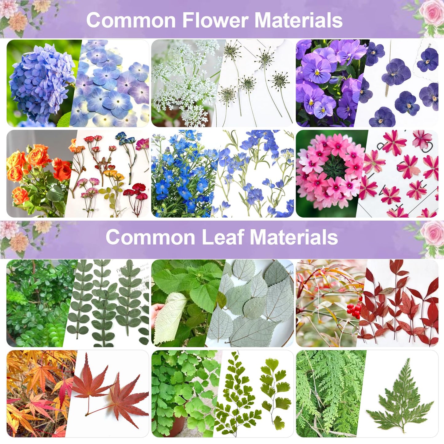 Suziko Large Flower Press Kit for Adults& Kids Flower &Plant Preservation Kit Measures 10.8" x 6.9" Suziko Leaves Press & Flower Press is a Great Gift for Lovers