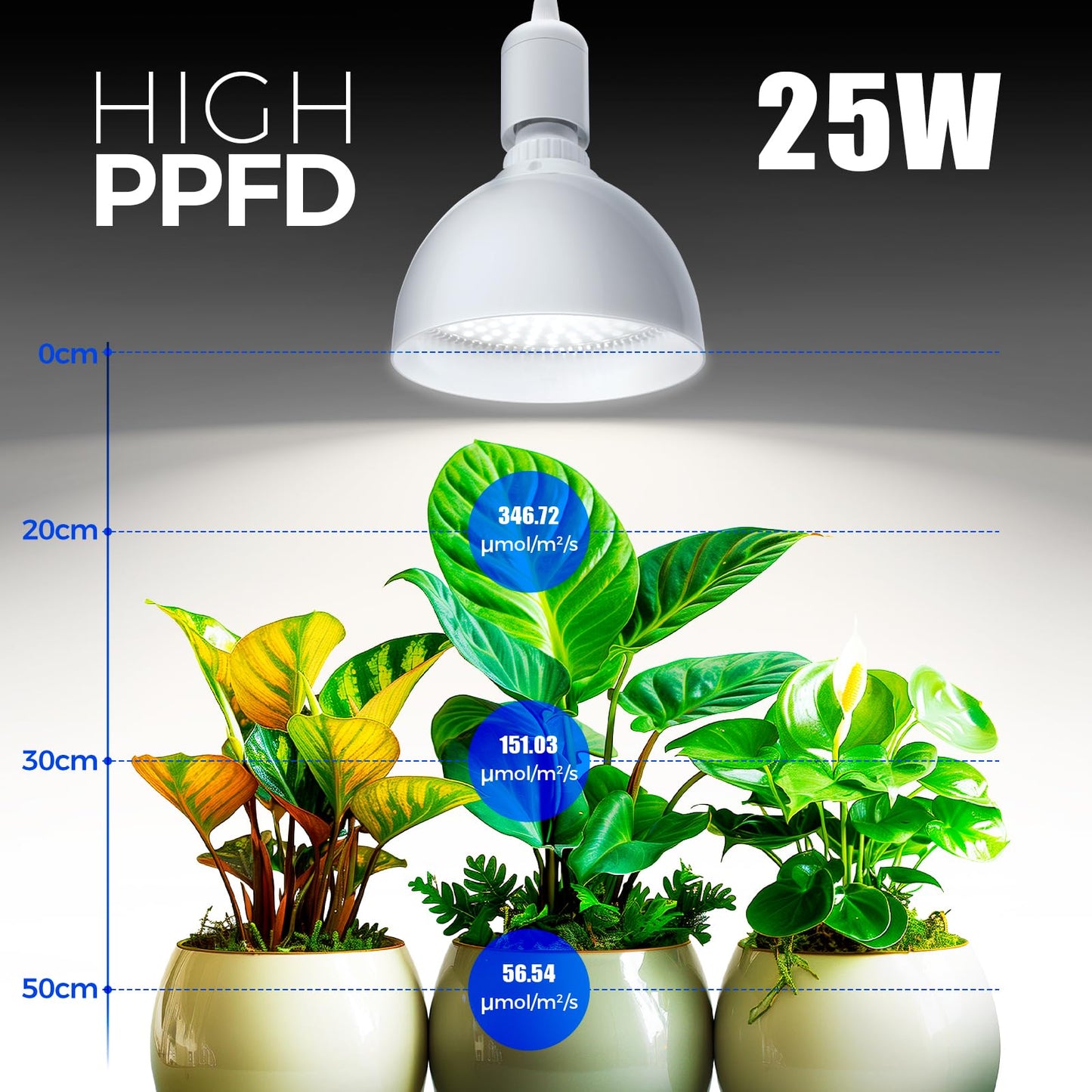Barrina LED Grow Light Bulb with Timing and Hanging System, 25W 5000K Full Spectrum, 4H/9H/14H Timer, Hanging Grow Lights for Indoor Plants with 16.4FT Power Cord, Pendant Light for Plants