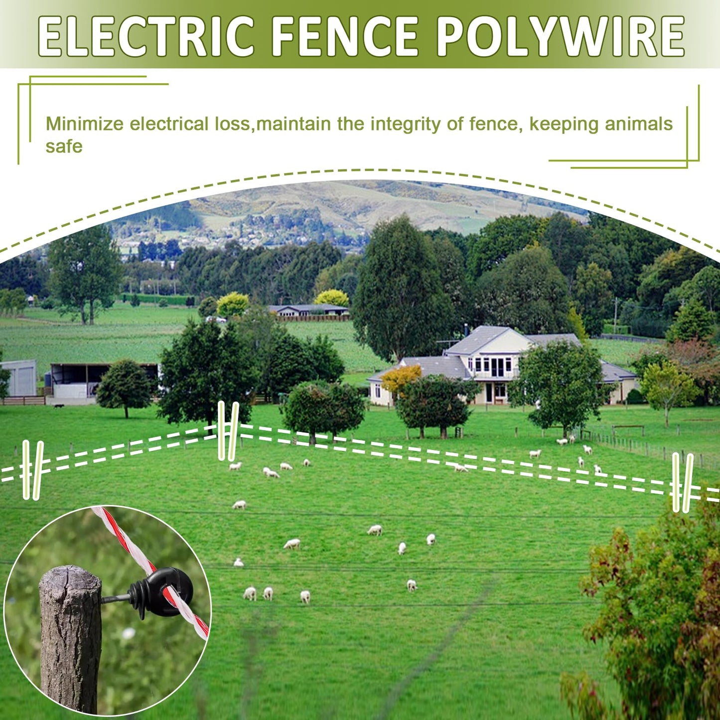 Electric Fence Polywire 660 Feet with 50 Pcs Electric Fence Insulator, High Conductivity Weatherproof 6 Steel Strands Electric Fence Wire & Insulator Socket Tool for Cattle, Horses, Sheep