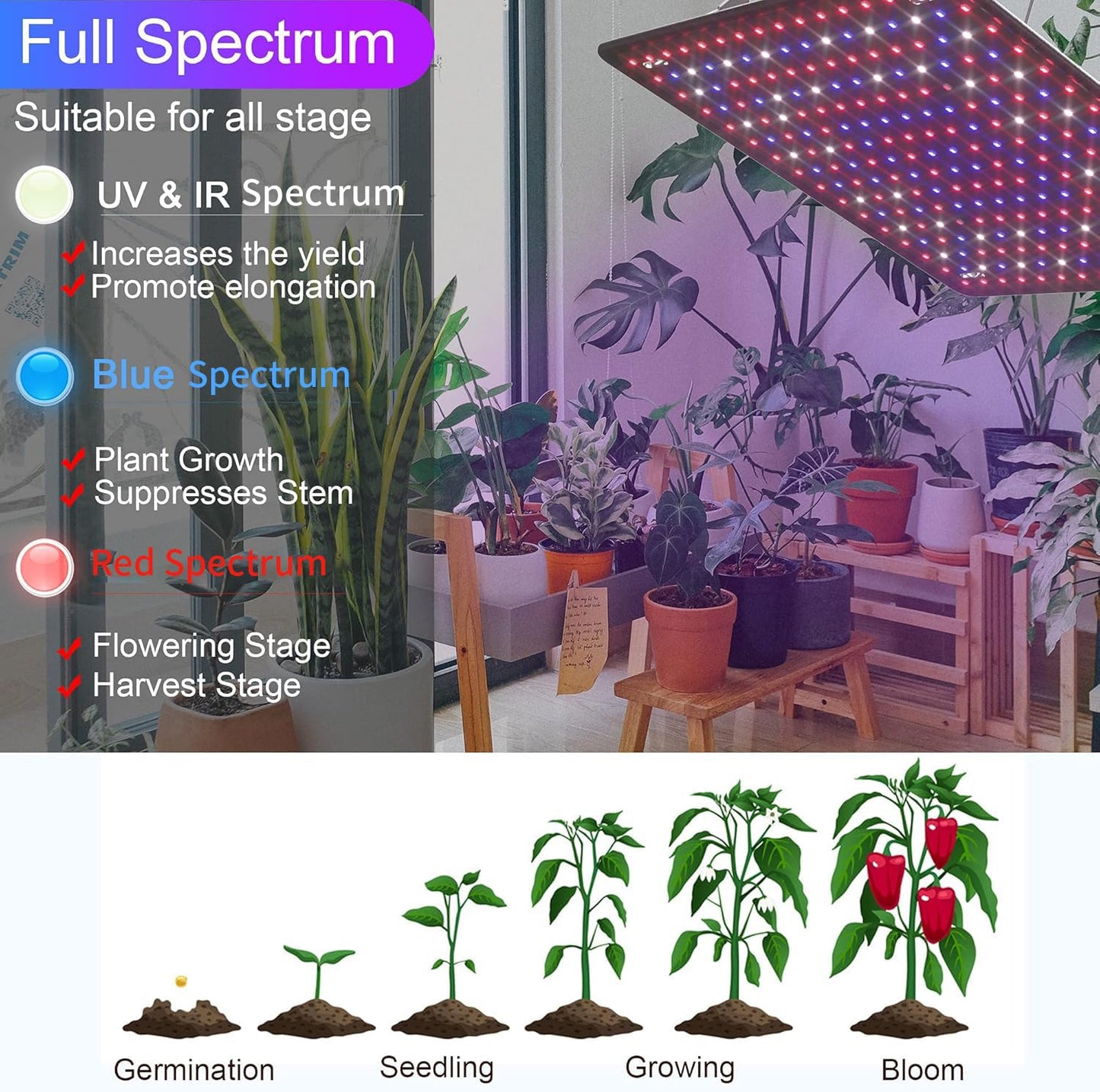 Aokrice LED Grow Light Panel 200W Lamp for Indoor Plants, Full Spectrum with White Blue Red UV IR LEDs for 4x4ft Coverage Grow Tent Greenhouse Veg and Bloom Seedlings Hydroponics (2 Pack)
