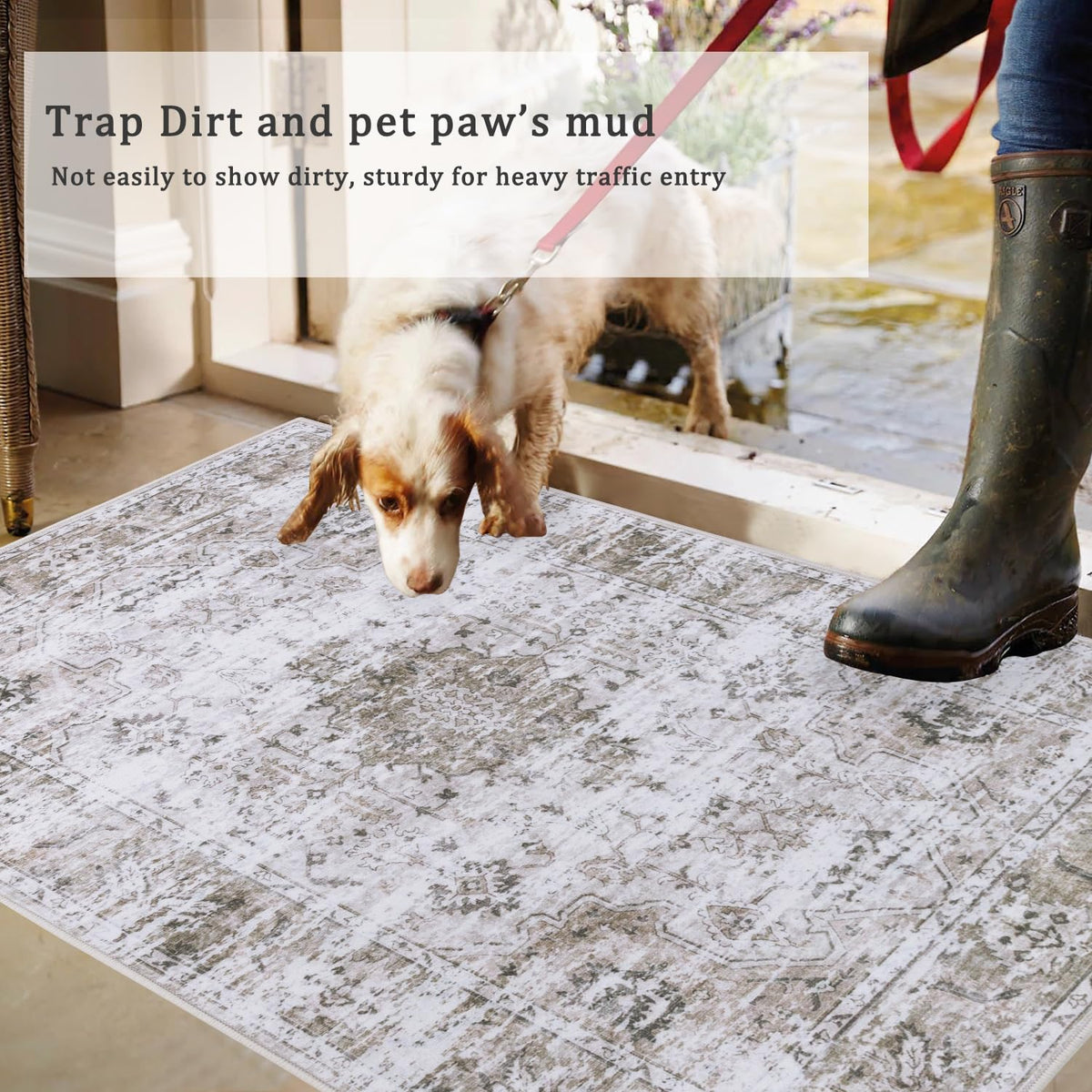 Caknowow 4x6 Area Rug Washable Entrance Mat Indoor Large Dirty Trapper Entryway Rugs Low Pile Heavy Duty Carpet Rugs for Entrance Living Room Bedroom(Taupe)