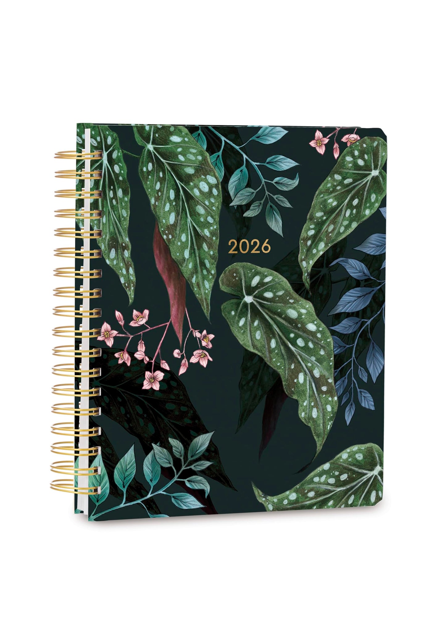 High Note Monthly Planner 2025-2026, Hardcover, Weekly & Monthly Calendar Book, Aug 2025 to Dec 2026 Planner with Goal and Project Planning Pages, 9" x 10", Greenery