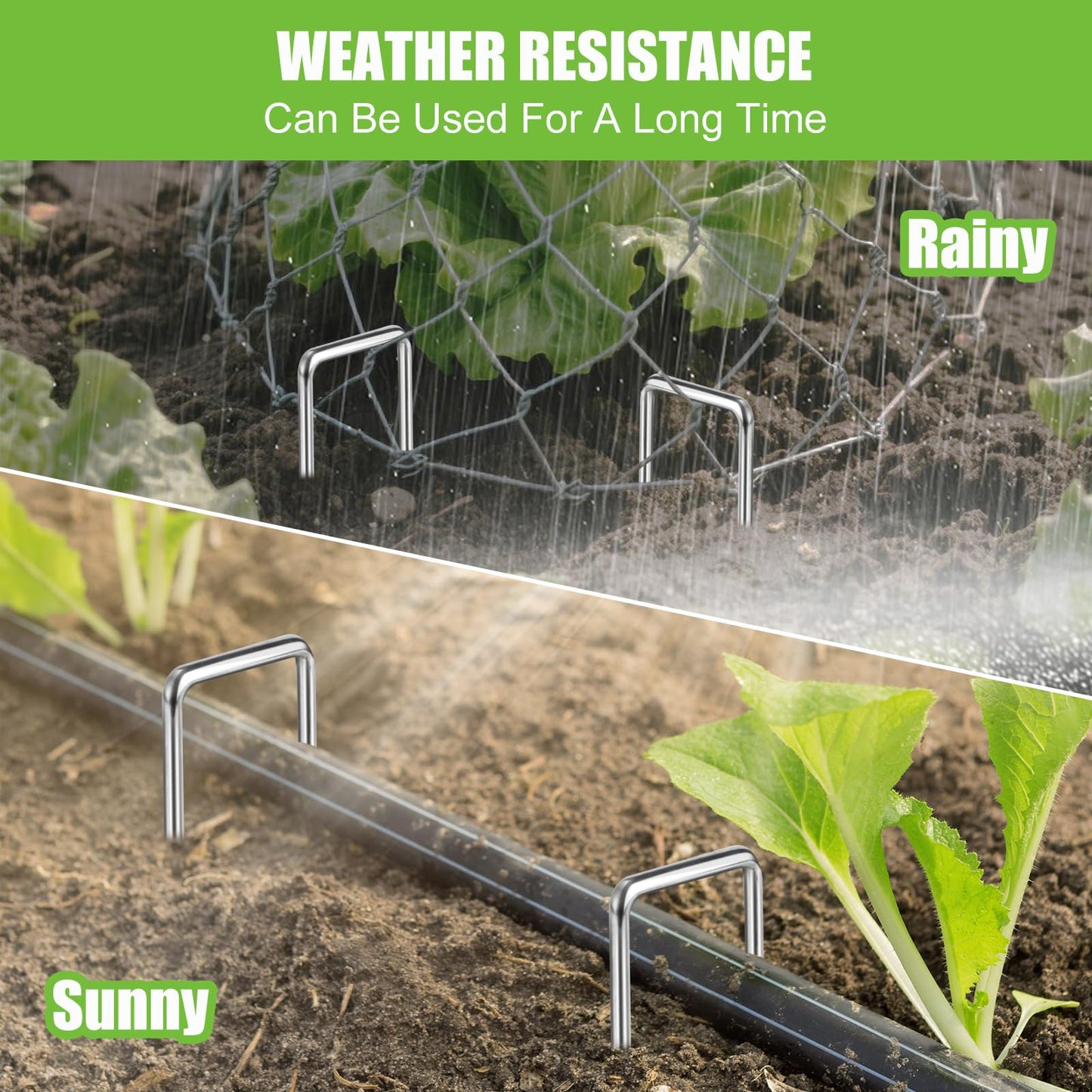 11 Gauge Landscape Staples Set,6 Inch 200pcs Galvanized Garden Stakes + 200pcs Gaskets + 1Pick Hook,Anti-Rust,U-Shaped Lawn Spikes，Landscaping Fabric Pins for Weed Barrier,Ground Cover,Fence,Turf