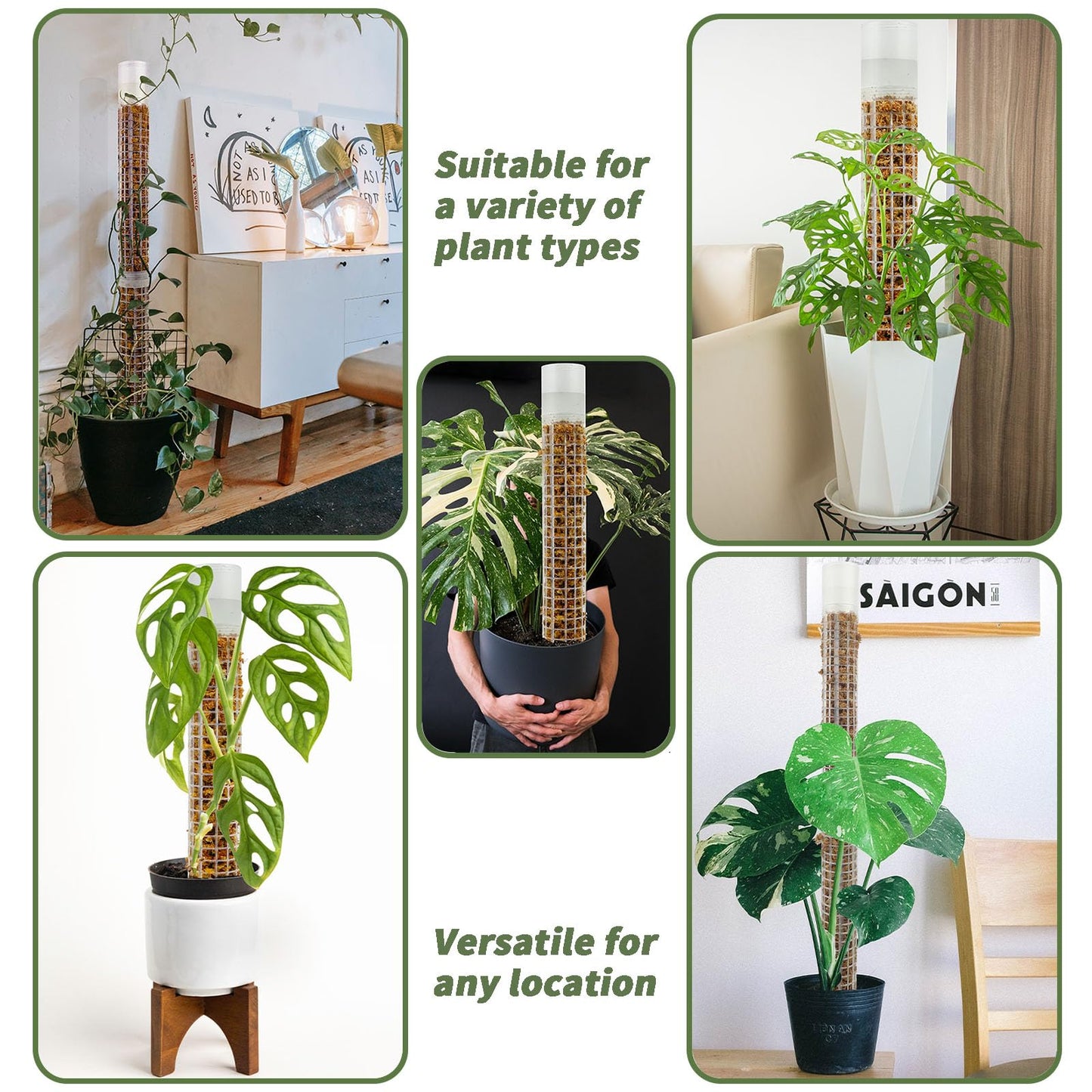 JEGU Moss Pole, Self-Watering Moss Pole for Plants Monstera, 17.4 Inch Height, Stackable Design with Monstera Plant Support - Ideal Moss Poles for Climbing Plants. (4, White)