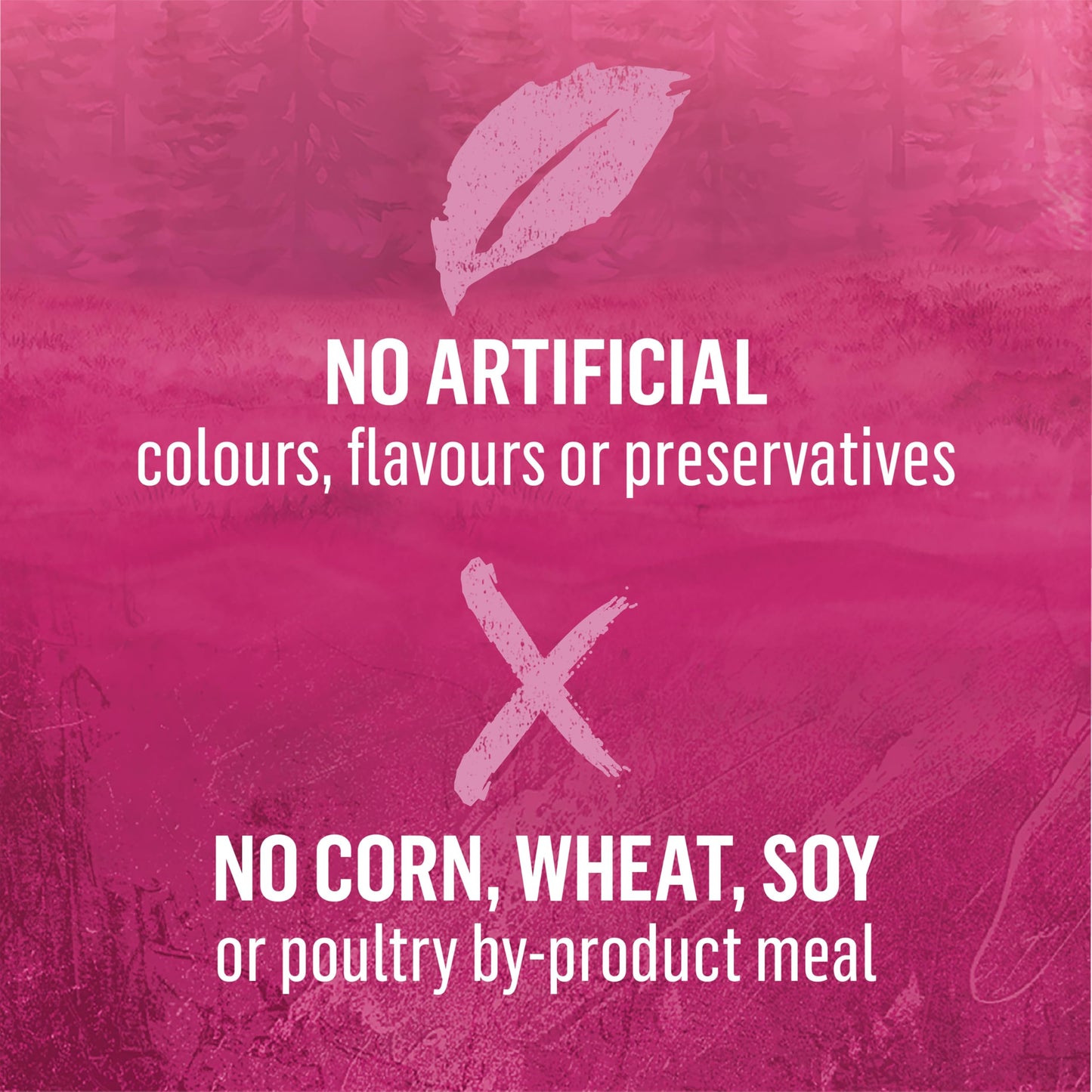 Beyond Wild Wet Dog Food, Beef, Liver & Lamb Recipe - 368 g Can (12 Pack)