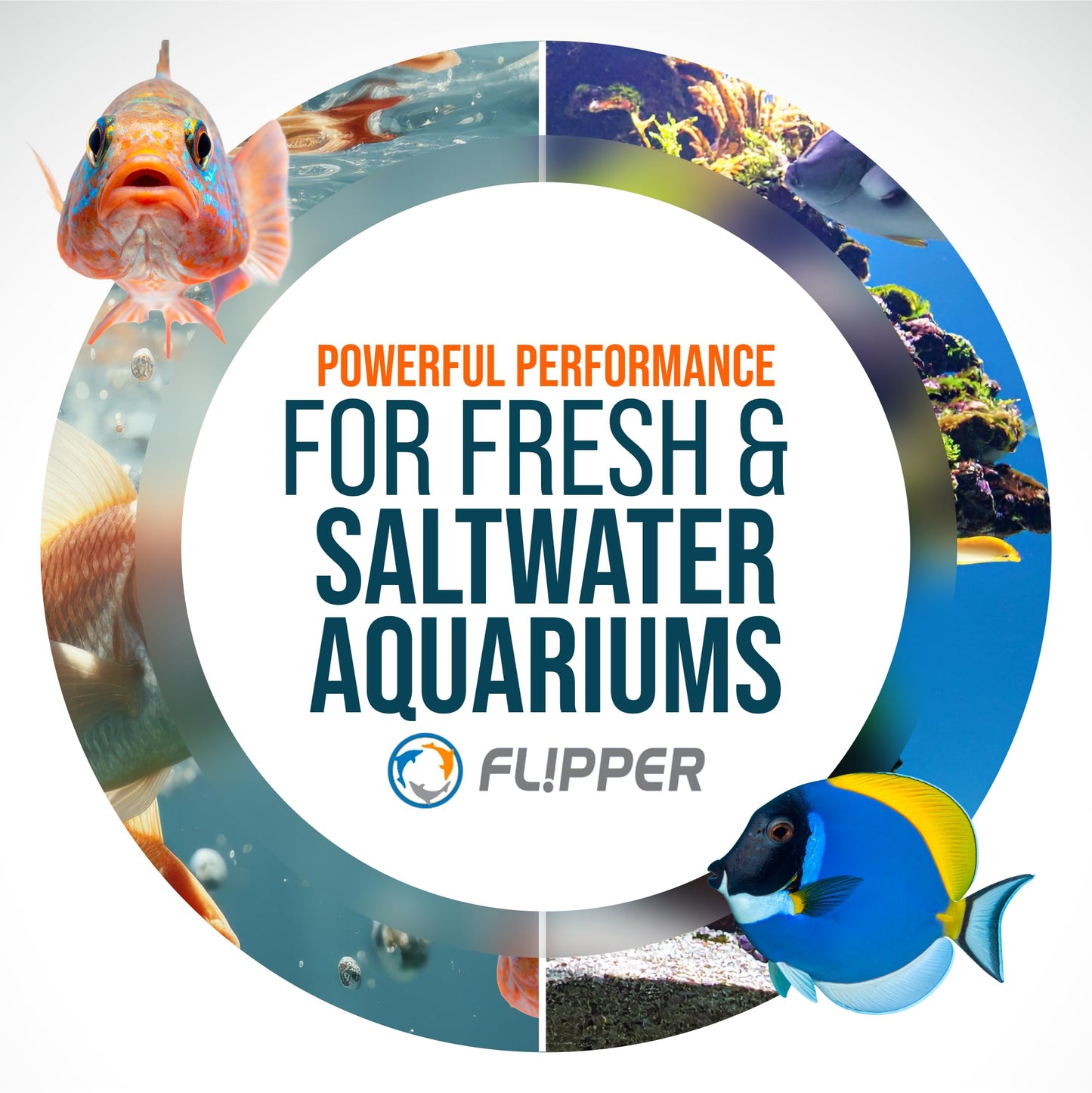 Flipper Nano Float 2-in-1 Floating Magnetic Aquarium Cleaner Fish Tank Algae Scrubber Scraper