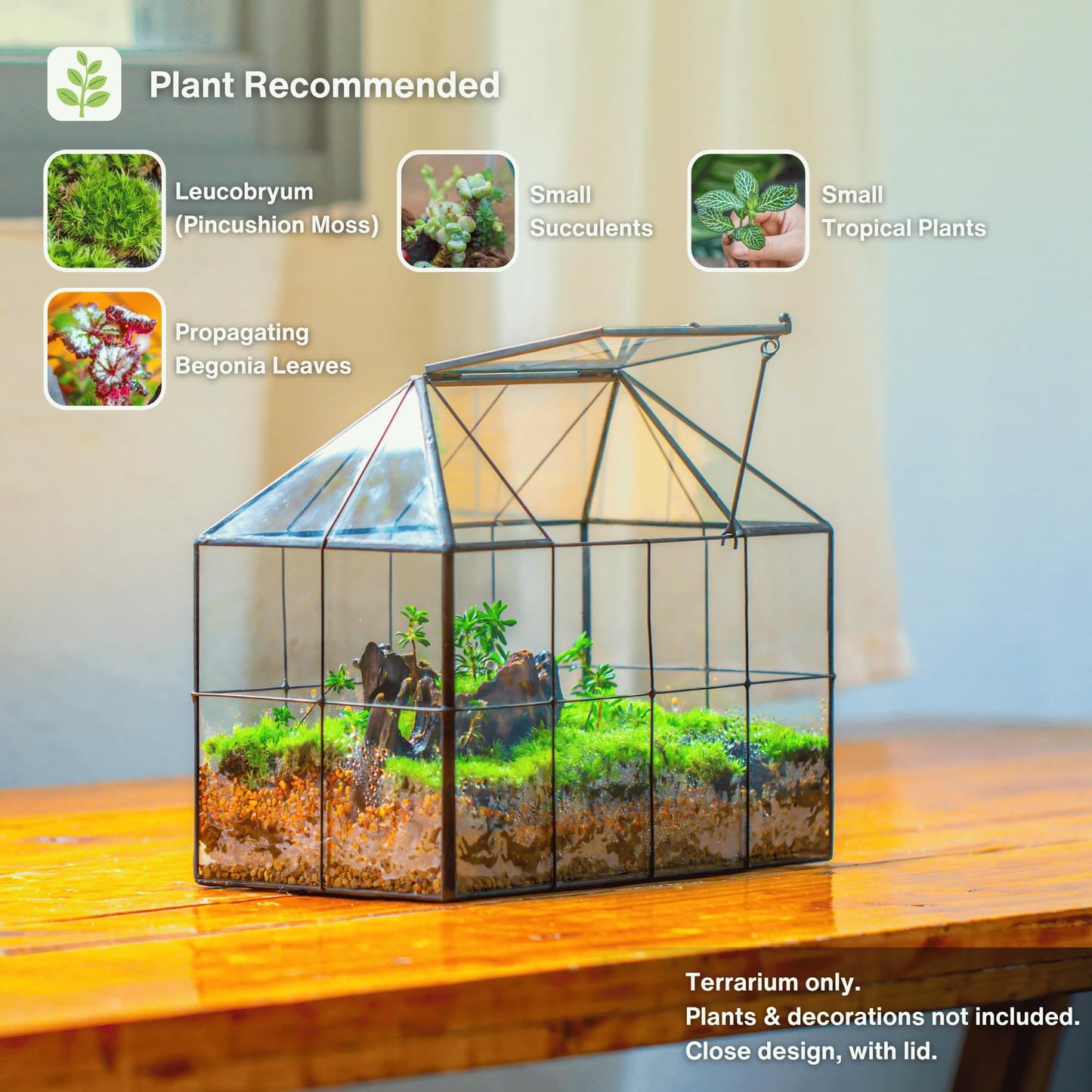 NCYP Geometric Terrarium Planter - 25x13.5x20 cm - Grid House Shape Glass Terrarium Box for Succulent Cacti Air Plants, Modern Indoor Tabletop Centerpiece, Flower Pot, Black (No Plants)