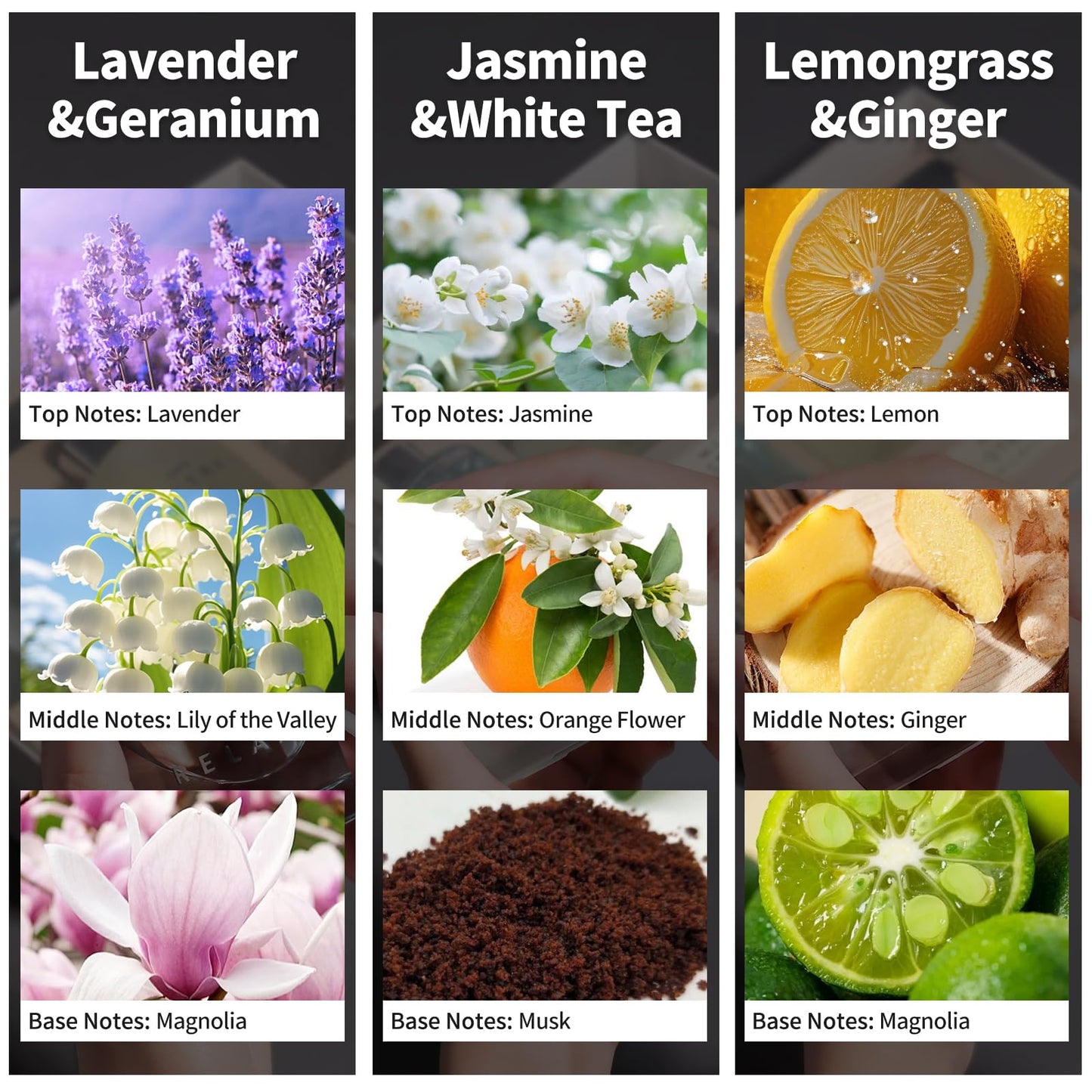3 Pack Reed Diffuser Set,50ML Lavender Jasmine Lemongrass Aromatherapy Essential Oil Diffuser with 12 Black Fiber Sticks,Air Freshener Sticks Diffuser for Bathroom– Long Lasting Scent Diffuser Sticks