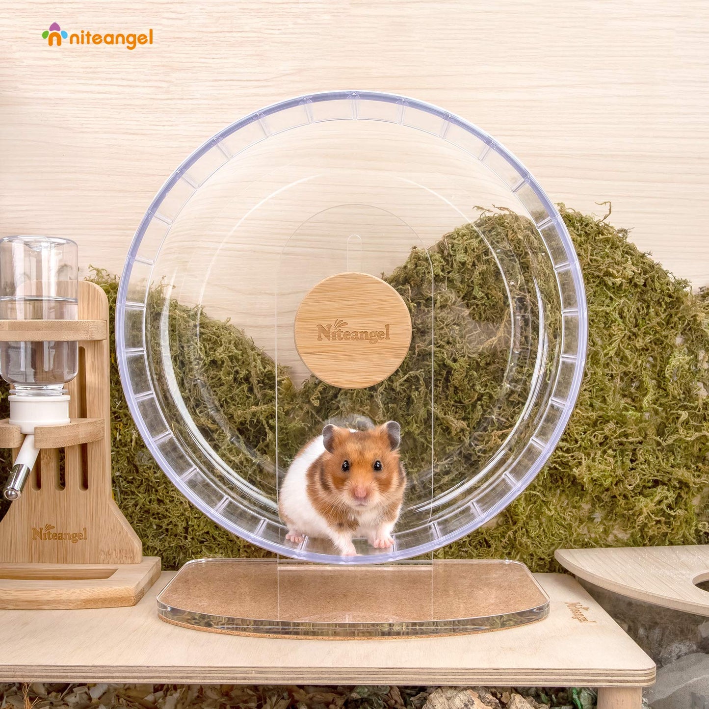 Niteangel Super-Silent Hamster Exercise Wheels - Quiet Spinner Hamster Running Wheels with Adjustable Stand for Dwarf Syrian Hamsters Gerbils Mice Or Other Small Animals (Transparent, Medium)