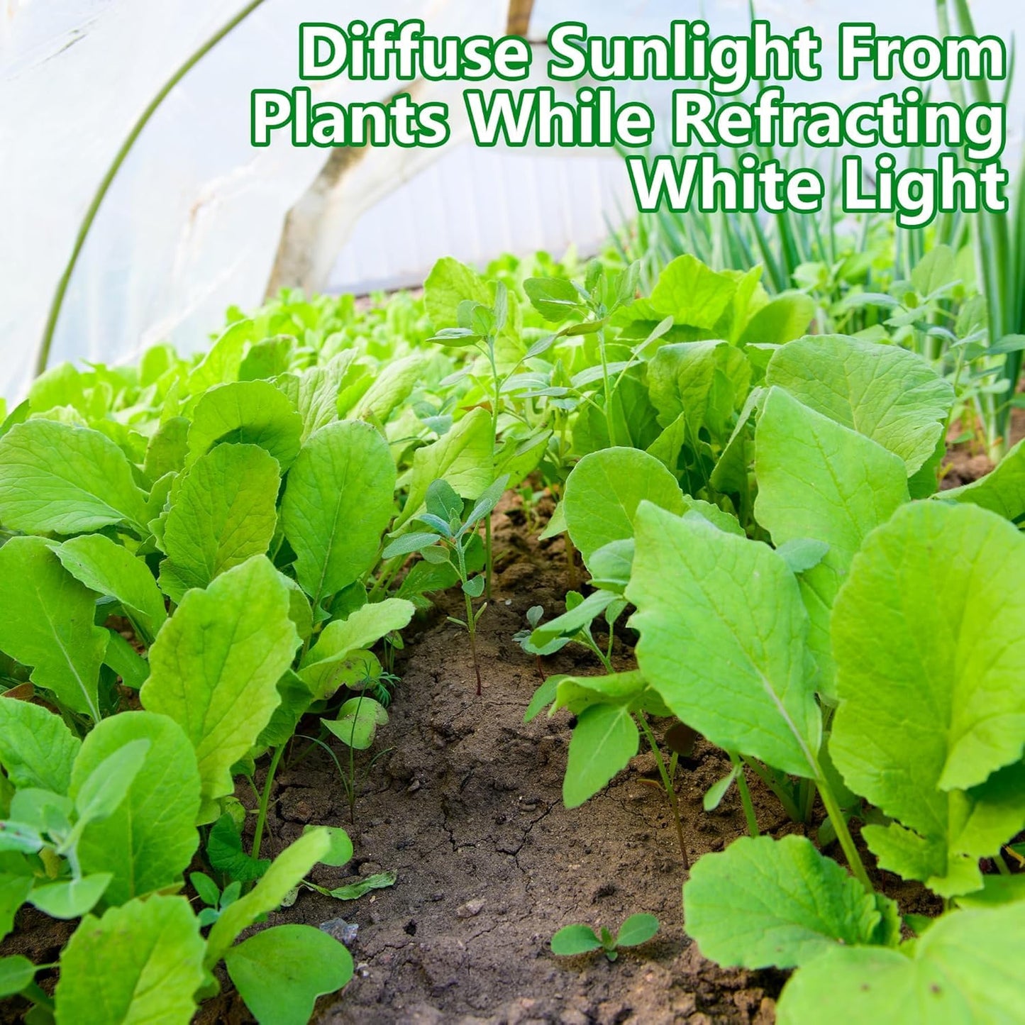 DECOHS 2 Pcs Plant Sun Protection Cloth, 30 x 10 Ft Garden Plant Shade Cloth, Non-Woven White Light Refraction Sunshade Cloth for Protecting Plants Vegetable Rows from Direct Sunlight