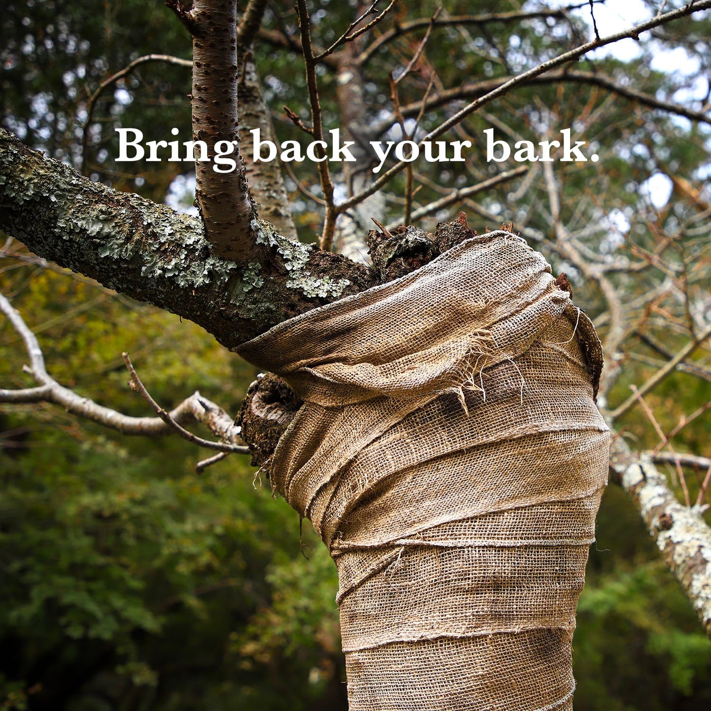 Burloptuous 60" x 16 Feet Gardening Burlap Fabric Roll - Tree Wrap, Weed Barrier, Erosion Control, Aisle Runner, Multipurpose Natural Fabric, High Density Jute Fiber Material