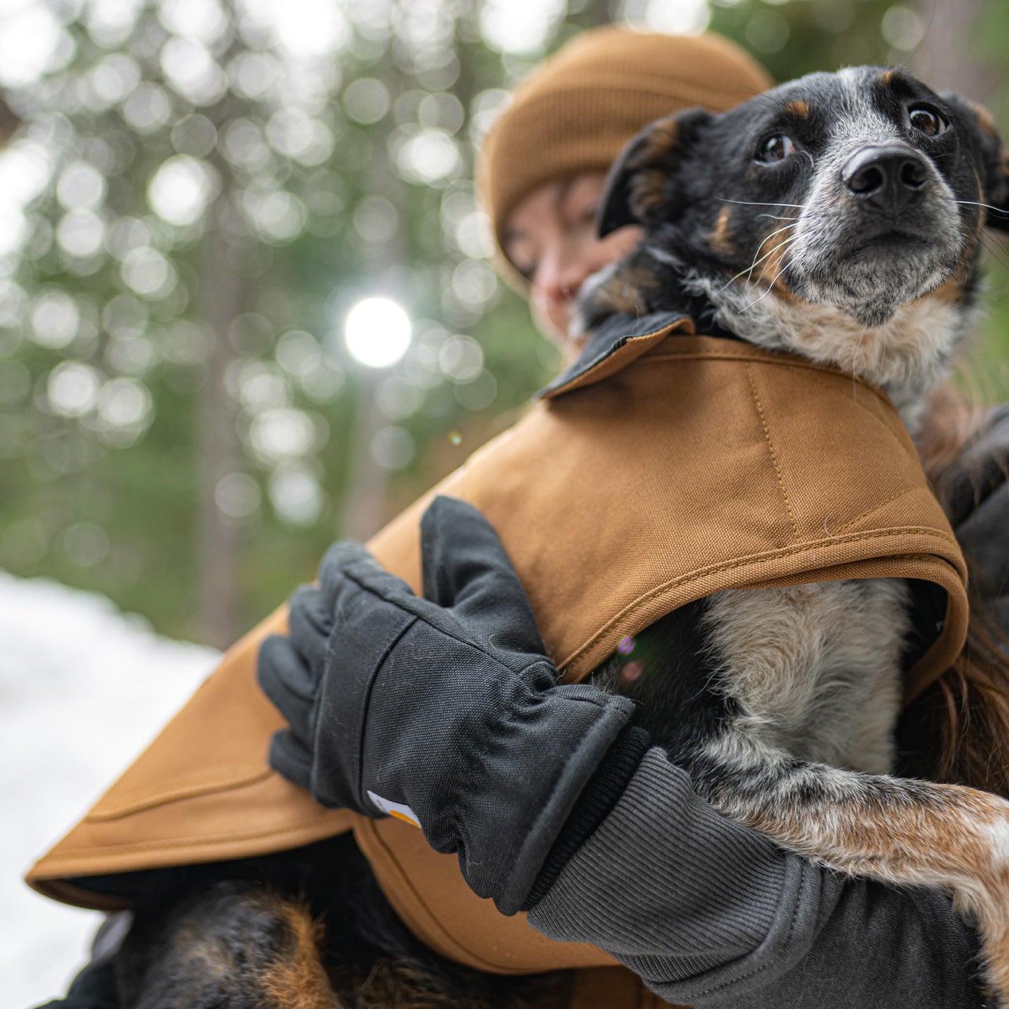 Carhartt Firm Duck Dog Chore Coat, Insulated Weather Resistant Jacket for Cold and Windy Conditions, Hunter Orange, Medium