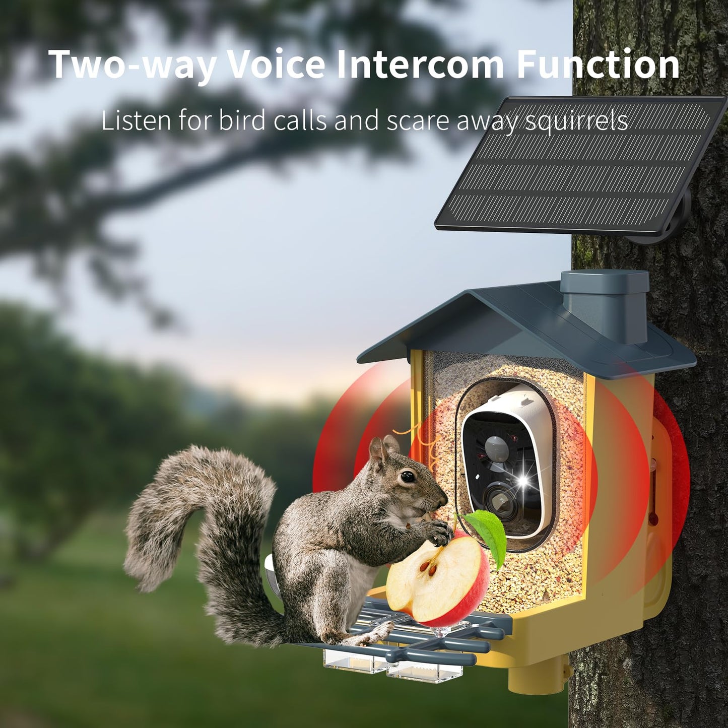 oddkont Bird Feeder with Camera - Smart Bird Feeder Camera with AI Identify Bird Species, Auto Record Bird Video, Instant Notifications, 2K Video Live Stream Camera with Solar Panel for Birds Lover