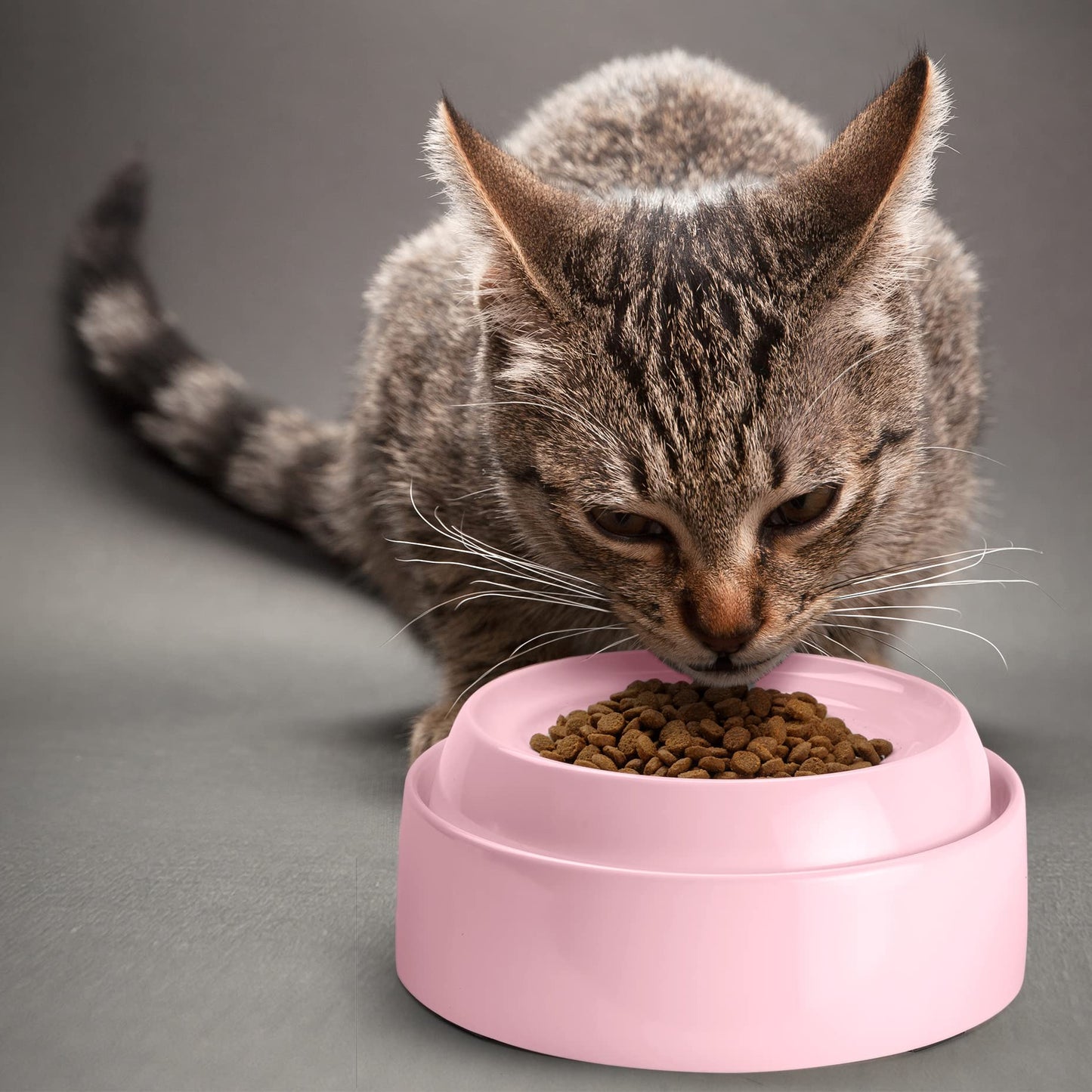 CatGuru Cat Bowls, Whisker Stress Free Cat Food Bowl, Reliefs Whisker Fatigue, Wide Cat Bowl, Non Slip Cat Food Bowls, Shallow Cat Dish, Cat Feeding & Watering Supplies (Set of Two, Pink)