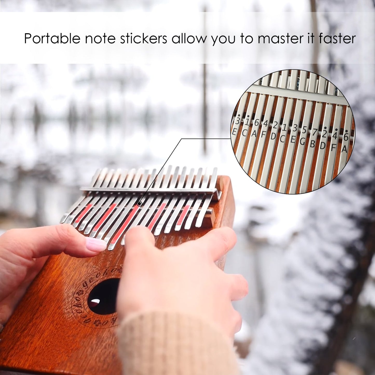 GECKO Kalimba 17 Keys Thumb Piano with Waterproof Protective Box,Tune Hammer and Study Instruction,Portable Mbira Sanza Finger Piano,Gift for Beginners Professional