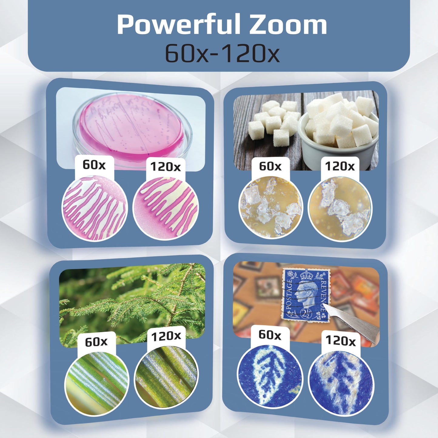 Carson MicroBrite Plus 60x-120x Power LED Lighted Pocket Microscope - Set of 4 (MM-300MU)