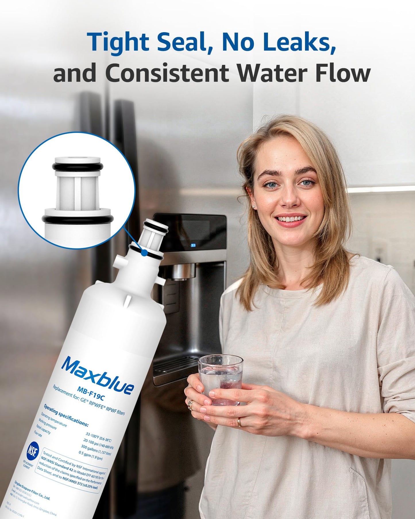Maxblue MB-F19C (with CHIP) NSF 401 Certified Refrigerator Water Filter, Replacement for GE® RPWFE®, RPWF, WSG-4, WF277, GFE28GMKES, PFE28KBLTS, GFD28GSLSS, PWE23KSKSS, GYE22HMKES, DFE28JSKSS