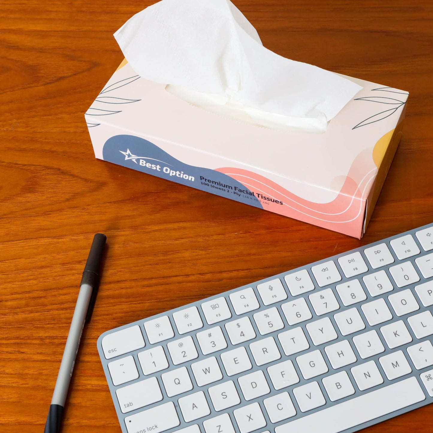 Soft 2-Ply Facial Tissue, White, 100-Count Box | Professional, Gentle and Durable | Great for Bathroom, Office, Business, School (1,200 Tissues, Bulk Pack of 12-Boxes)