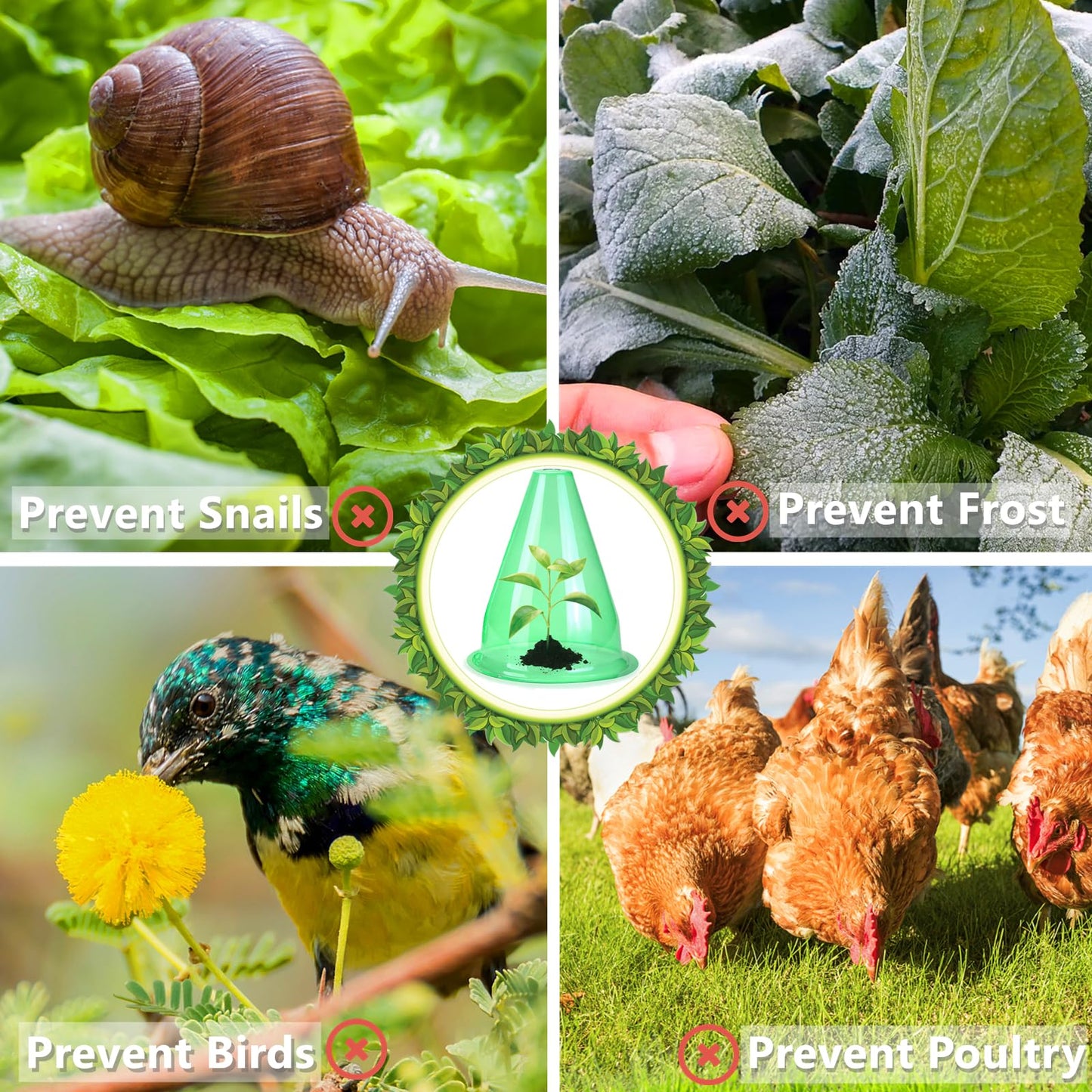 【36 Pieces】 Garden Cloches for Plants, Multifunctional Plant Cover Plant Protectors Transparent Bell Jar Cloche Protection Plants from Birds, Animals, Frost, Freeze Weather,7.8" D x 9.4" H, Green