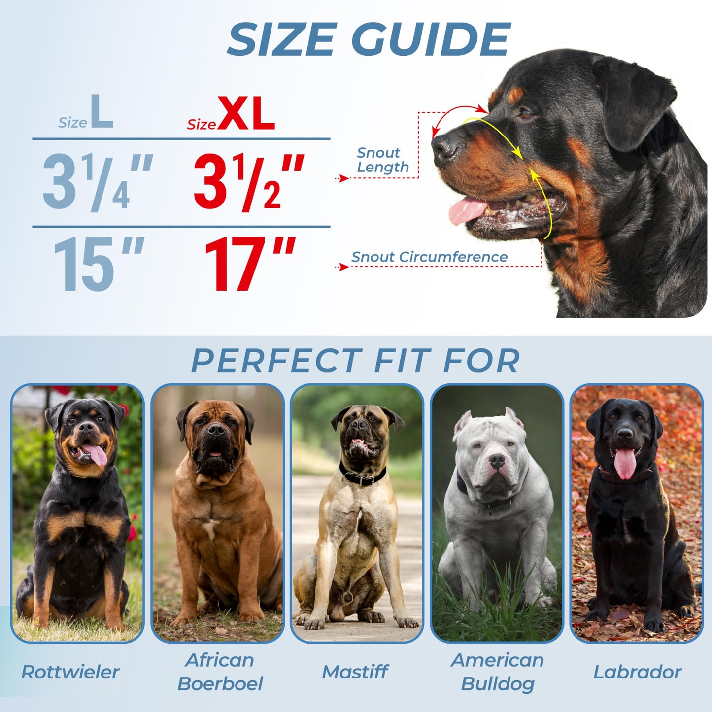 CleverTail XL Metal Dog Muzzle for Large Sized Dogs – Heavy Duty Rottweiler Muzzle – Basket Extra Large Dog Muzzles for Barking and Biting Cane Corso, Mastiff, Labrador, Bulldog and Other Big Breeds