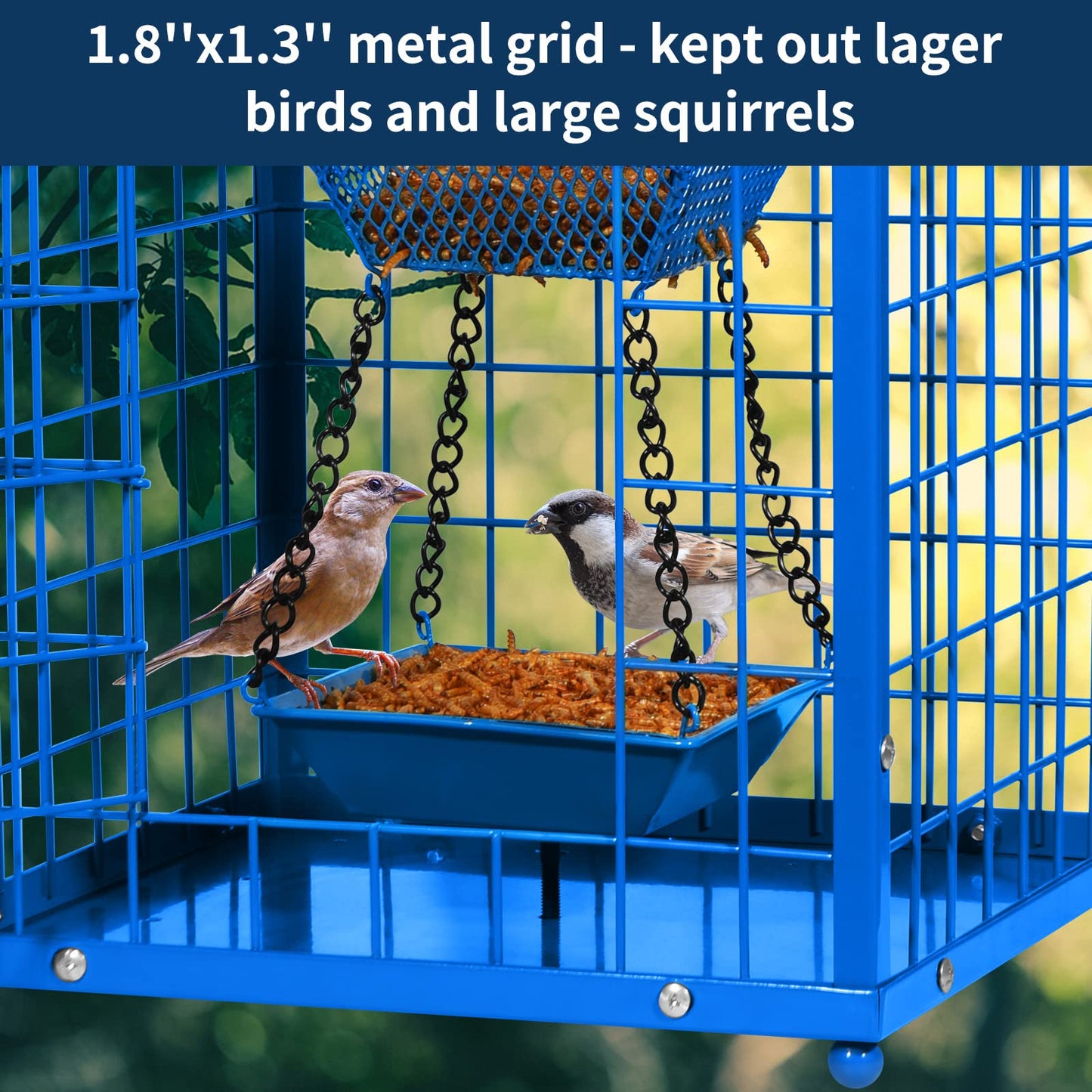 Mealworms Bird Feeders for Bluebirds - Metal - Huge Caged Squirrel-proof Bird Feeders with 2 Cups, DIY Wild Bird Feeders Outdoor Hanging (Blue), Attract Small Birds, 2lbs Seed Capacity+1 Mealworms Cup